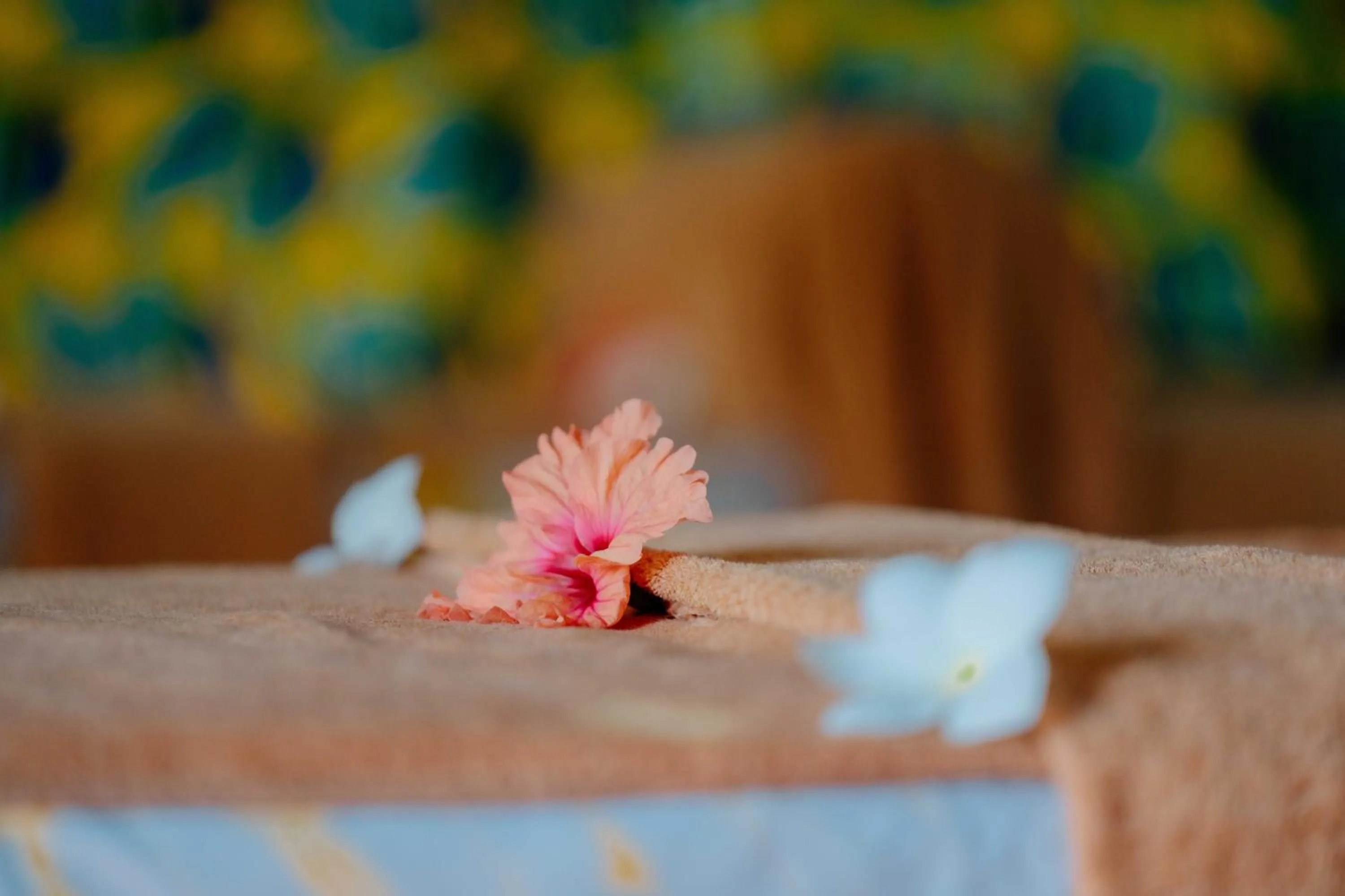 Pearl Beach by Sansi