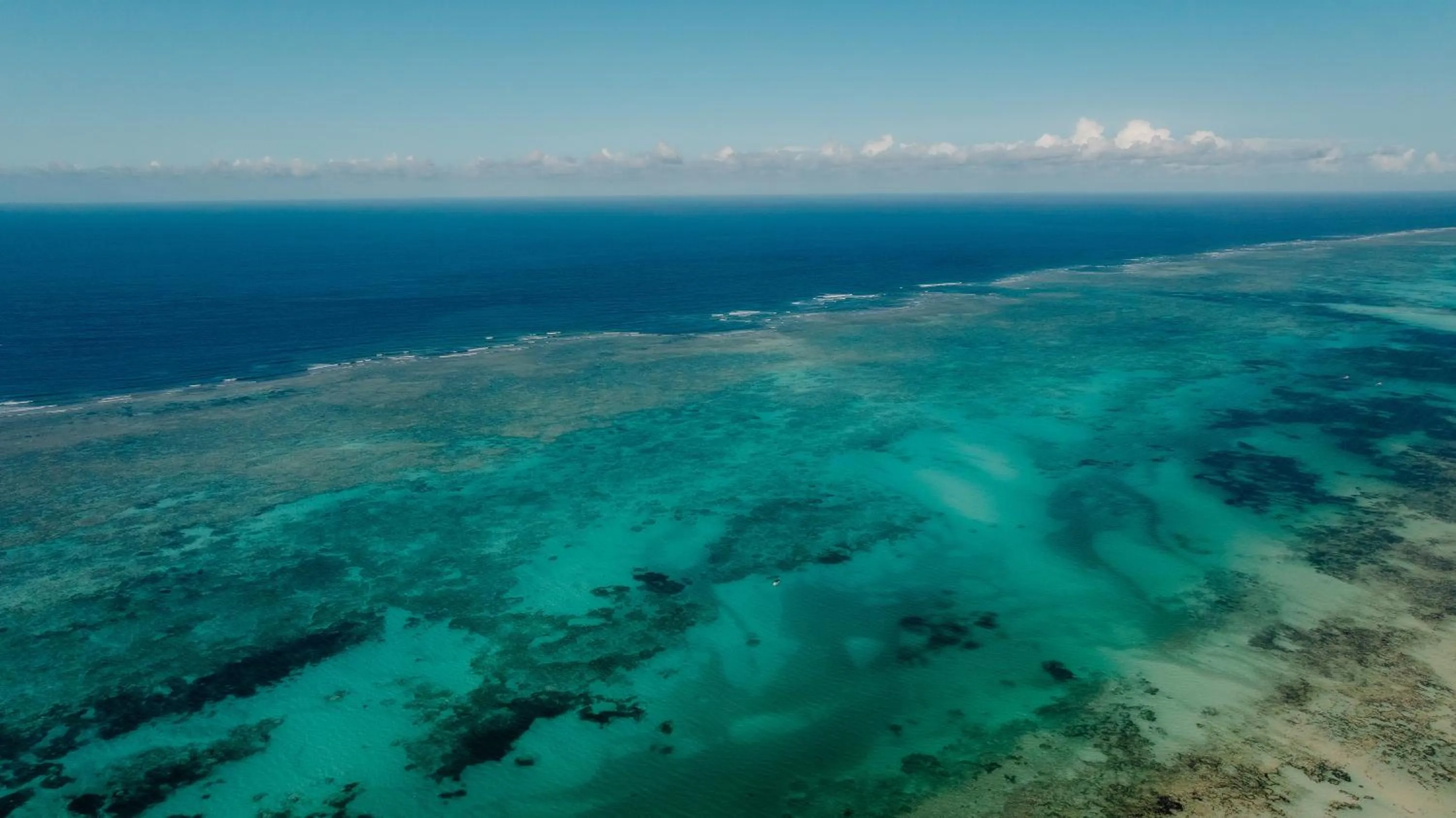 Beach in Pearl Beach by Sansi