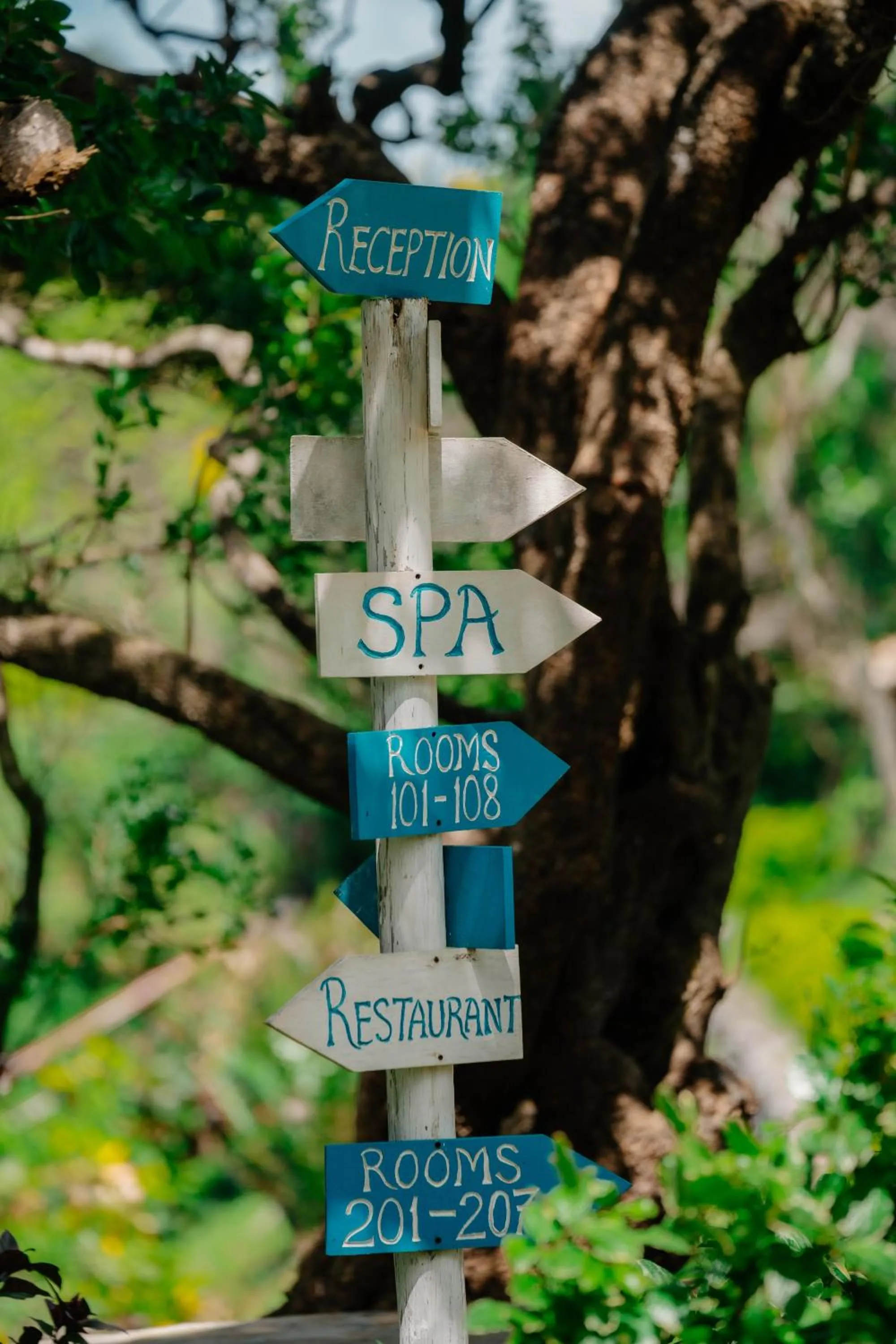 Pearl Beach by Sansi