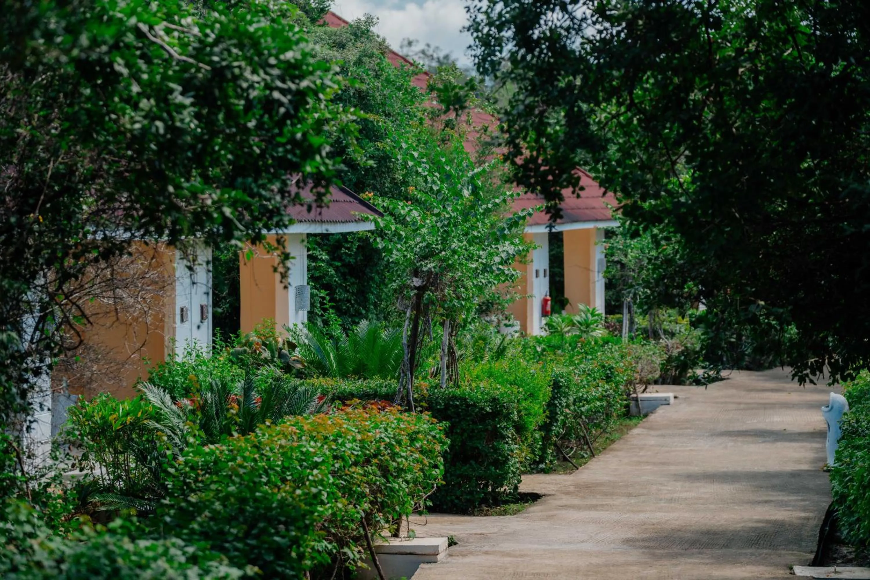 Pearl Beach by Sansi