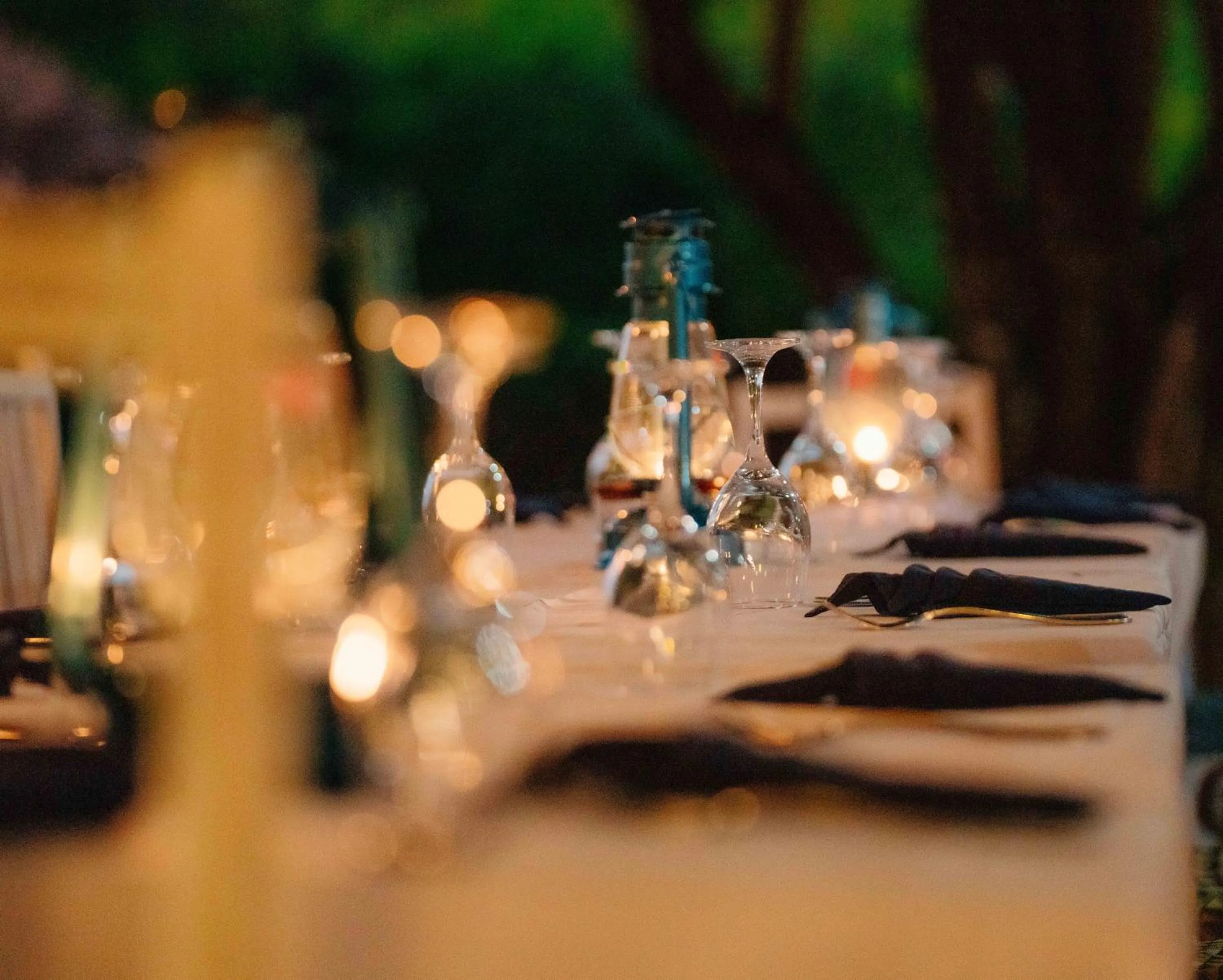 Pearl Beach by Sansi