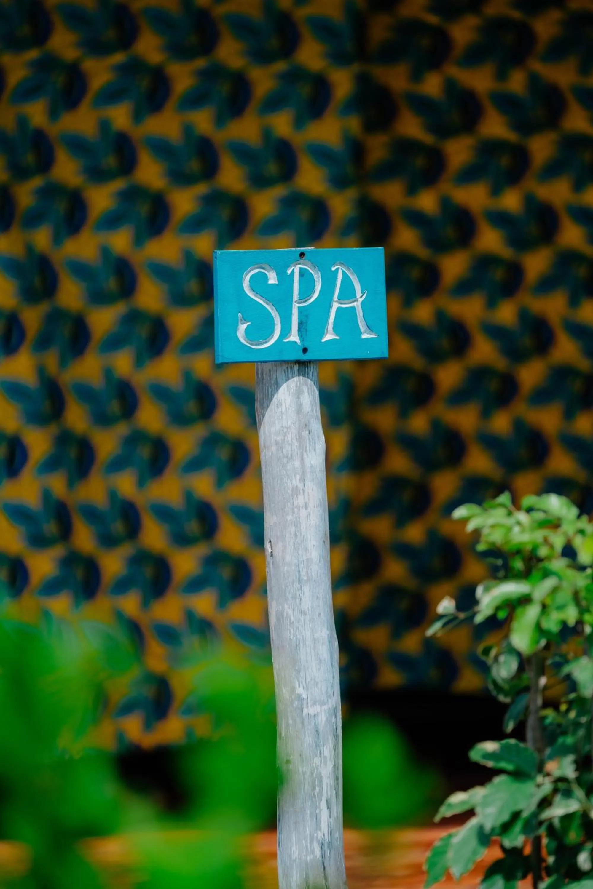 Pearl Beach by Sansi