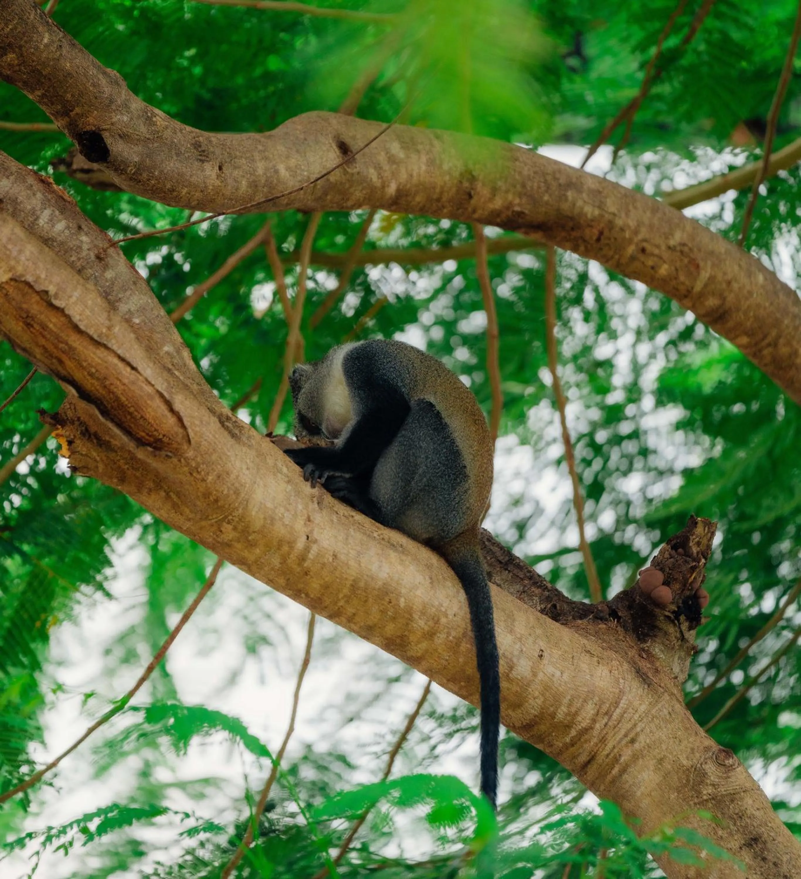 Pearl Beach by Sansi