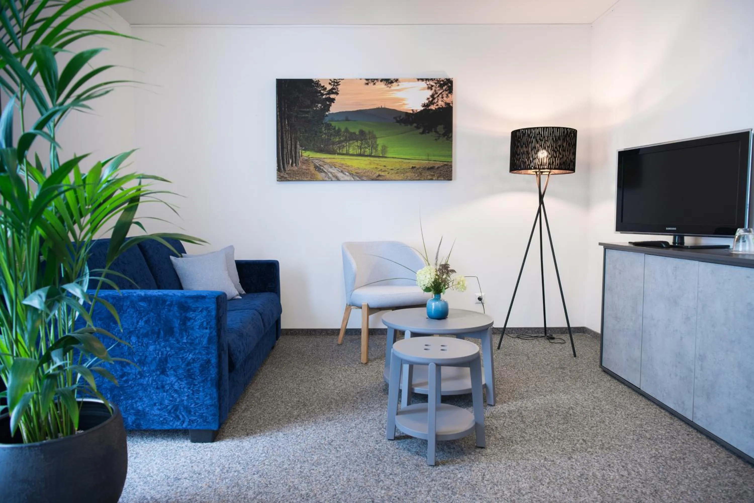 TV and multimedia in Aktivhotel Inselsberg