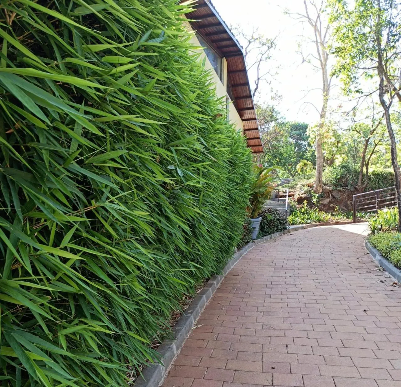 Other in Encore A Boutique Resort