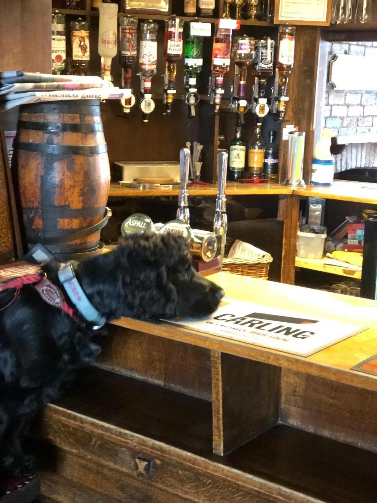 Lounge or bar in Ye Olde White Harte Hotel