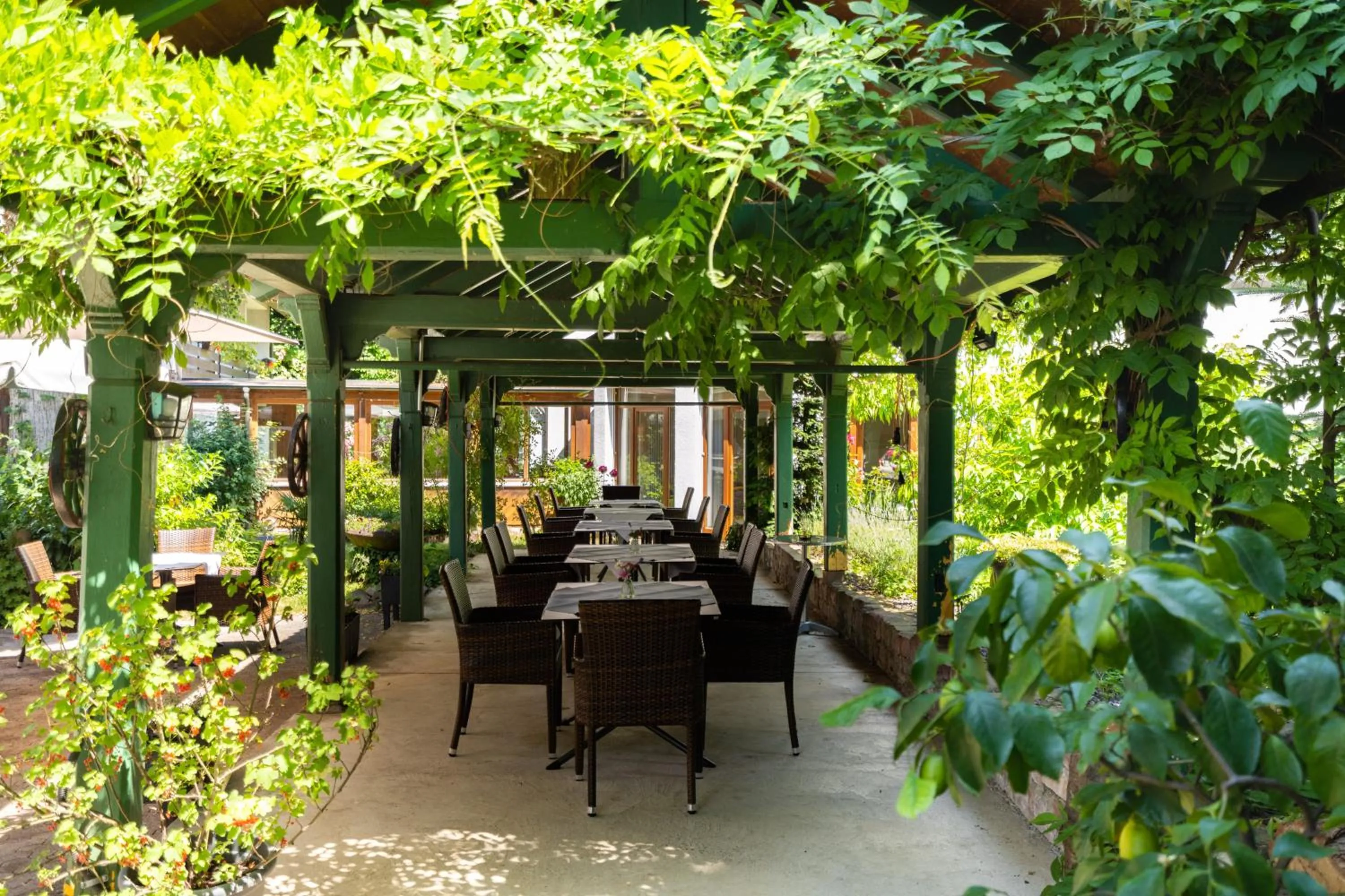 Balcony/Terrace in Hotel Suggenbad