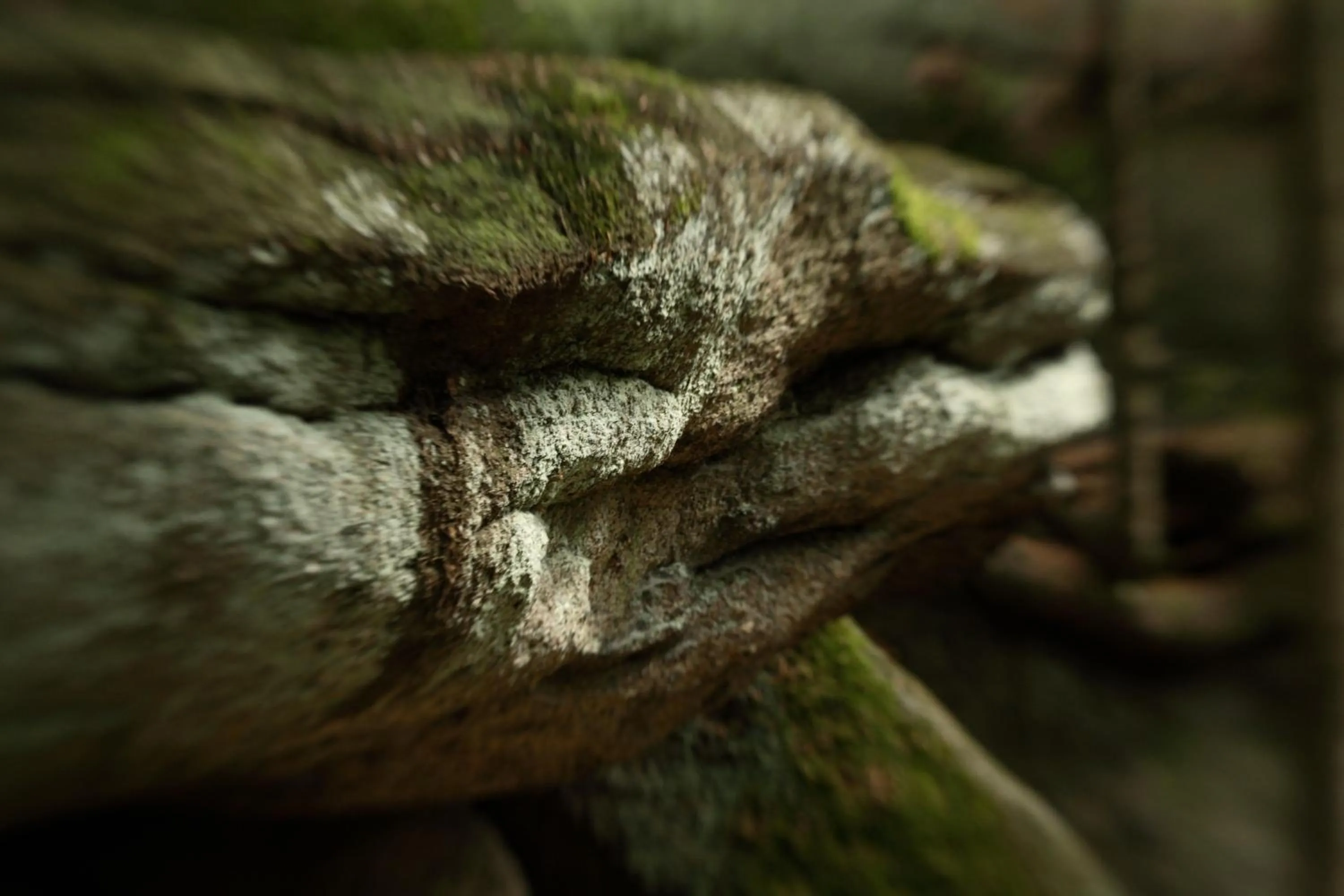 Nearby landmark in Landhaus Am Forst