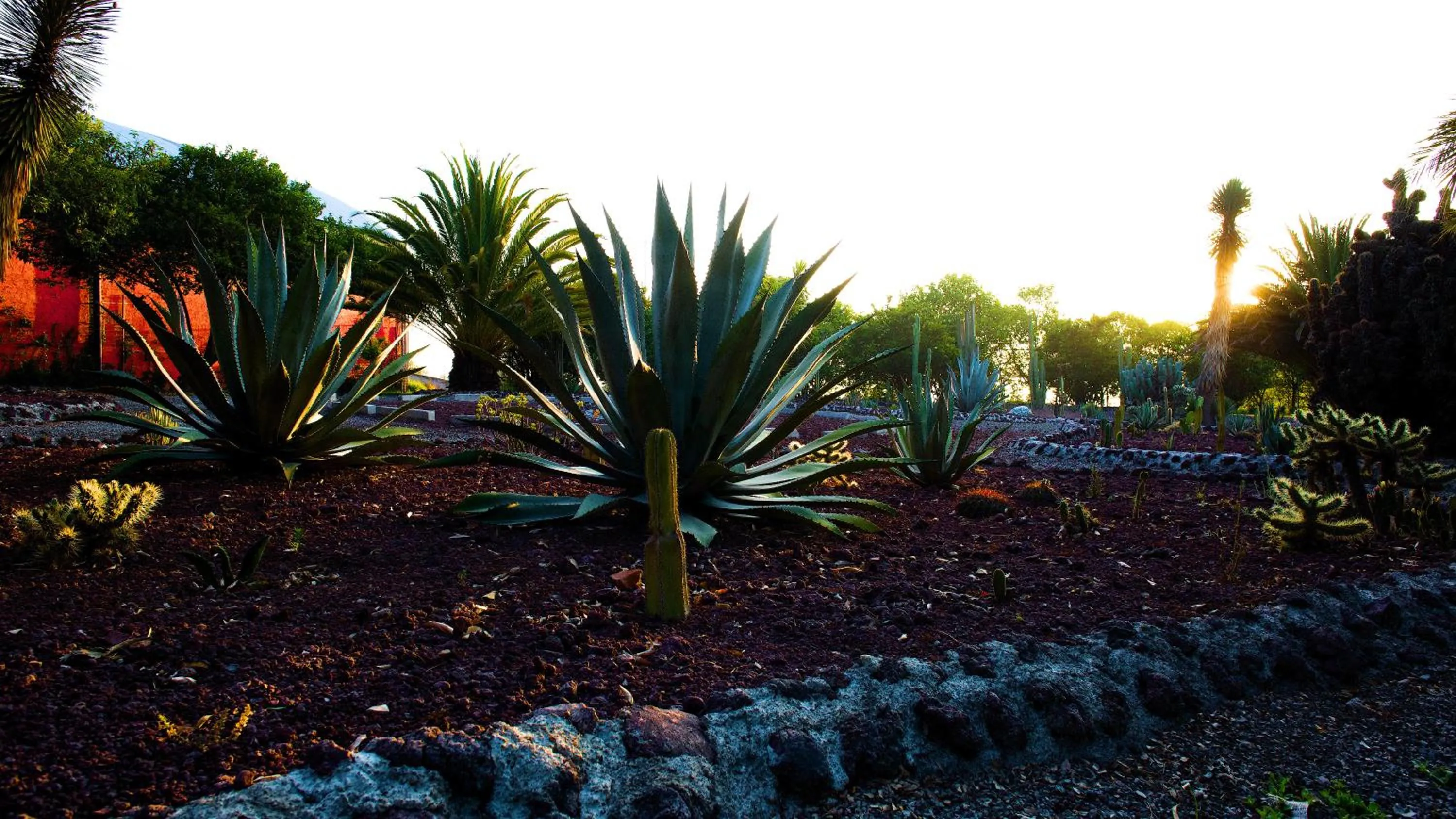 Natural landscape in Hotel Boutique Rancho San Juan Teotihuacan