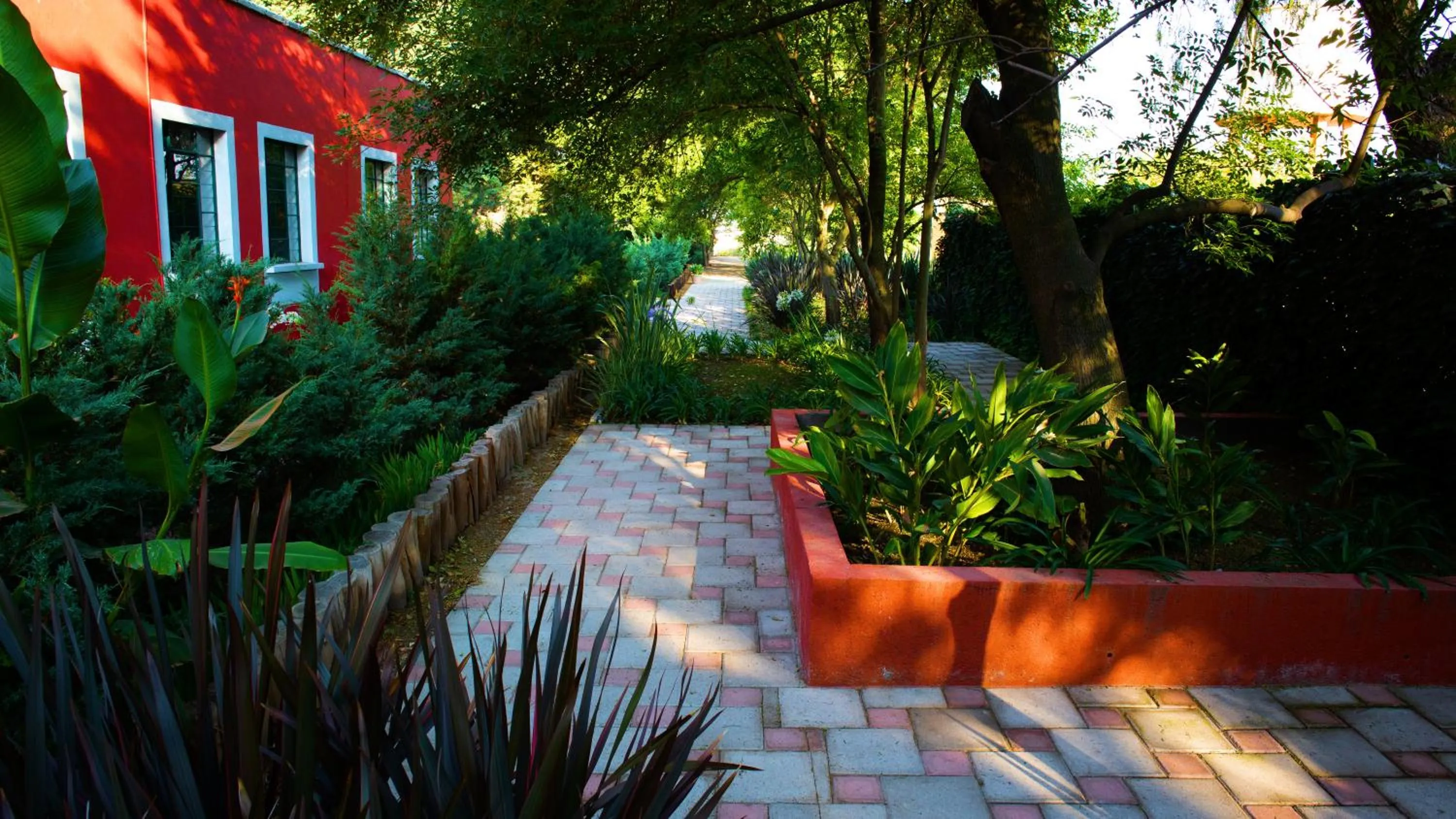 Garden in Hotel Boutique Rancho San Juan Teotihuacan