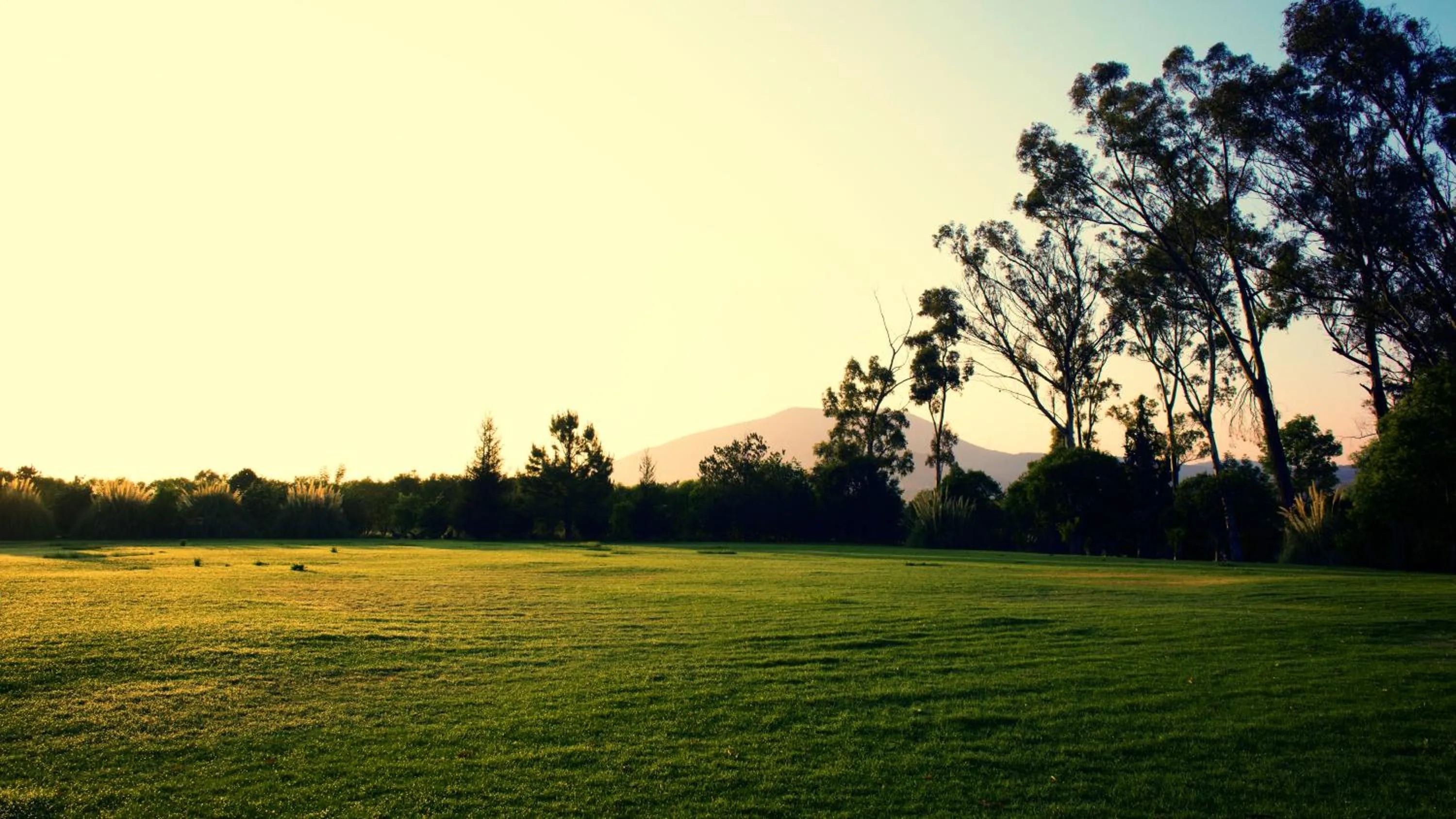 Natural landscape in Hotel Boutique Rancho San Juan Teotihuacan