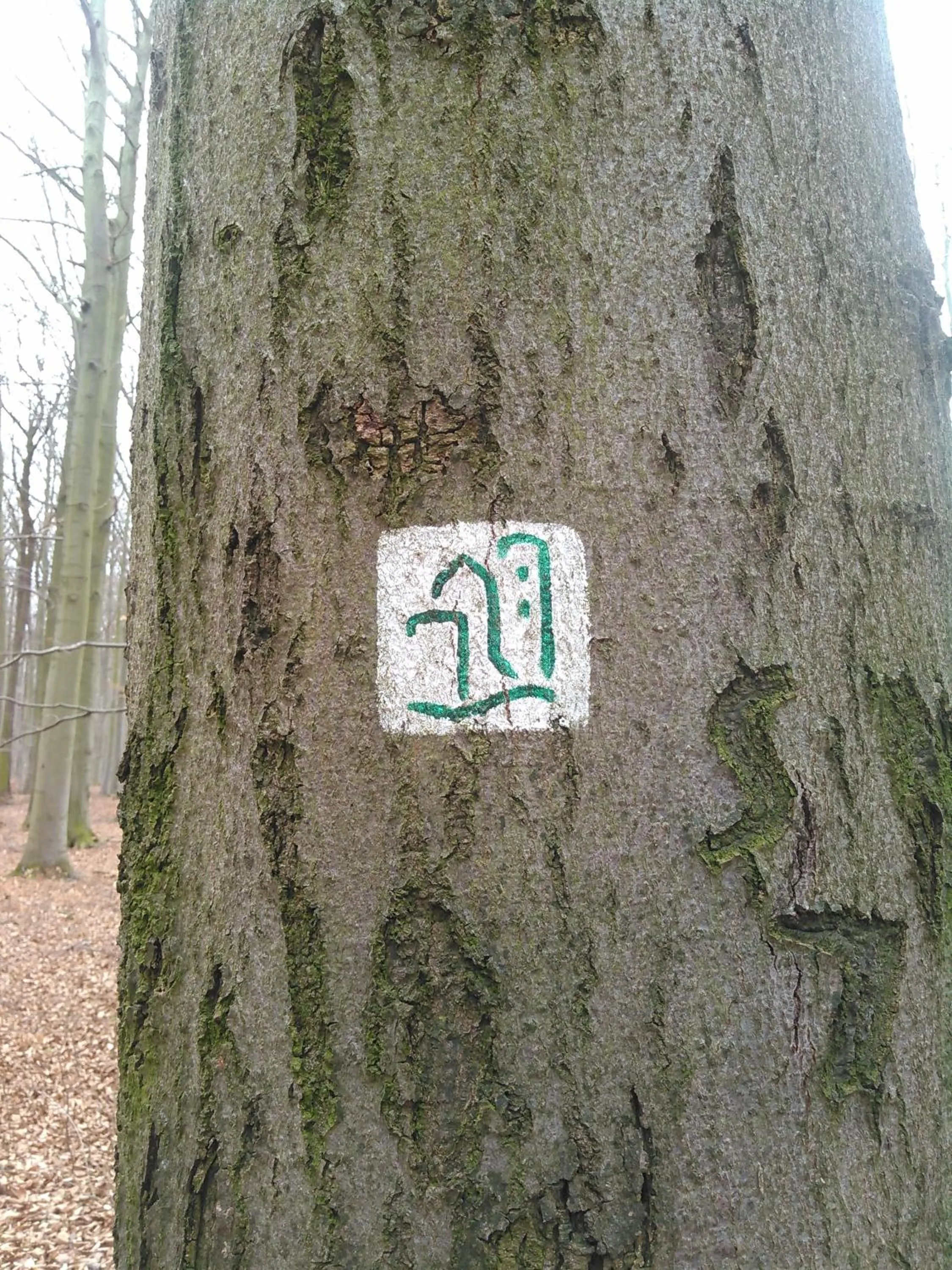 Off site in Landhotel Possendorf