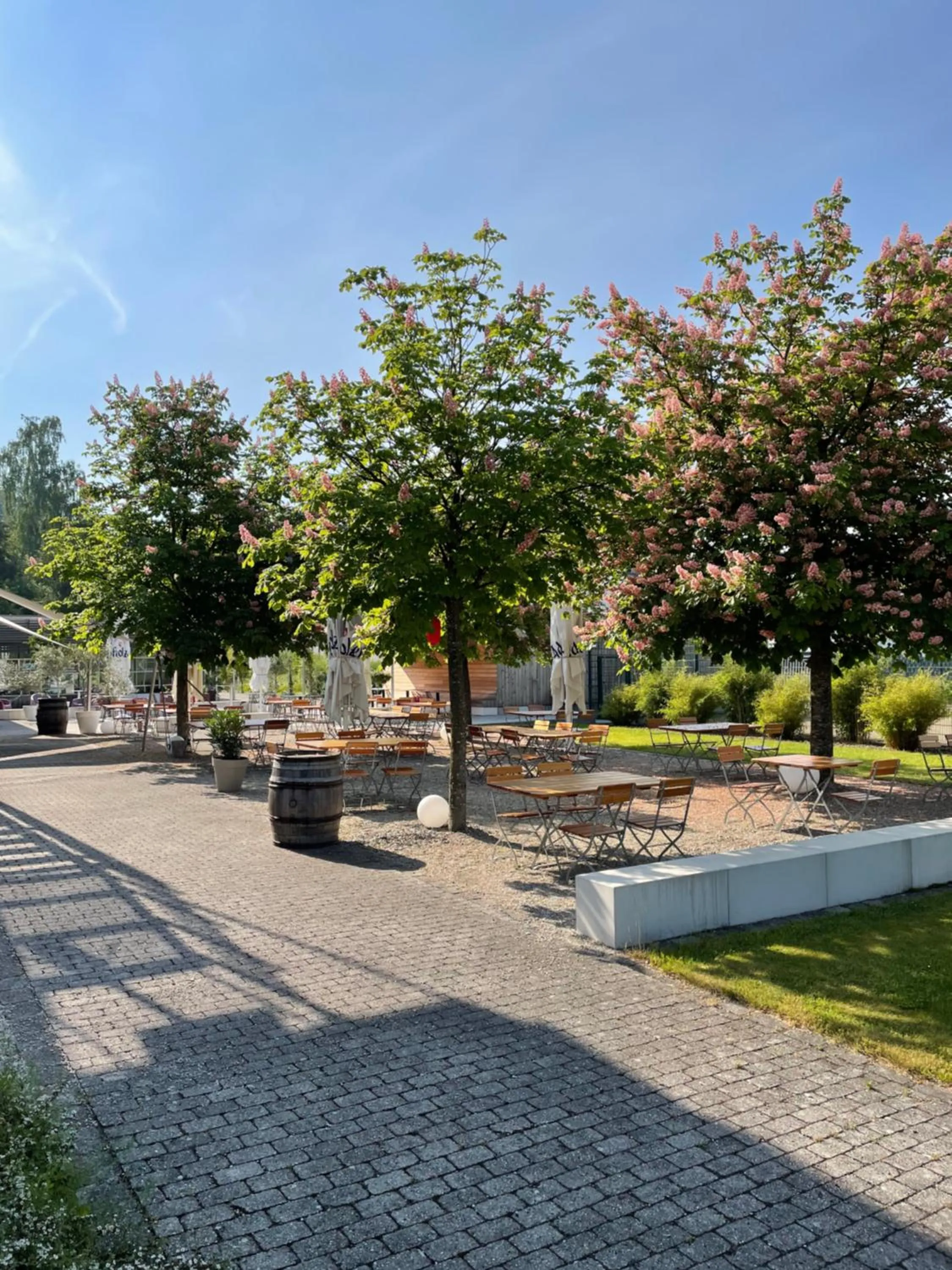 Garden in Hotel Kongressissimo