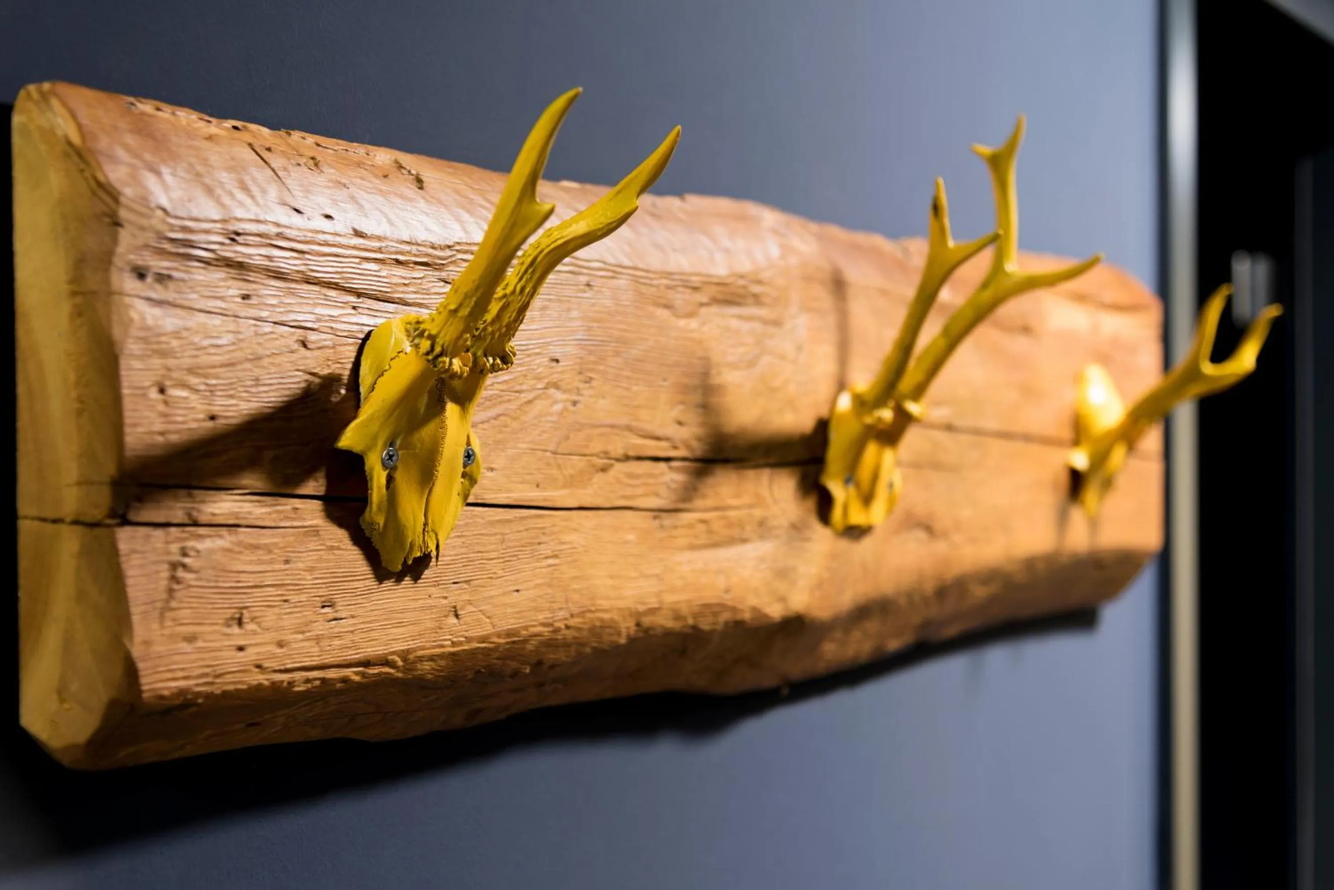 Spa and wellness centre/facilities in Hotel Kongressissimo