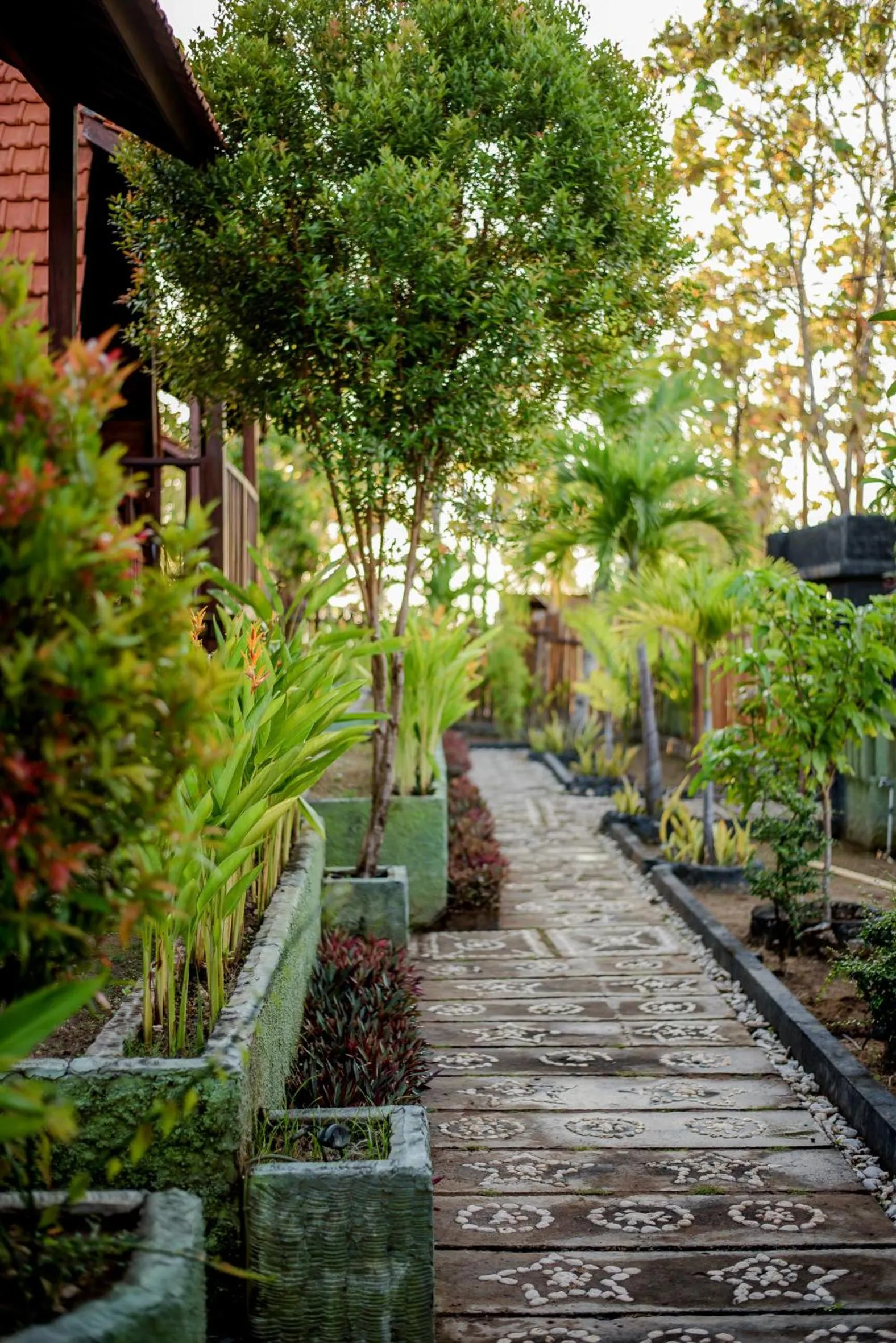 Garden in The Granyam Garden Cottage