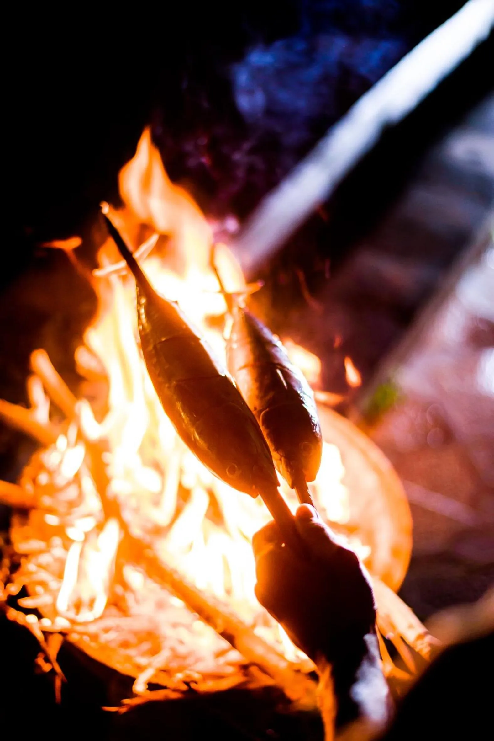 BBQ facilities in The Granyam Garden Cottage