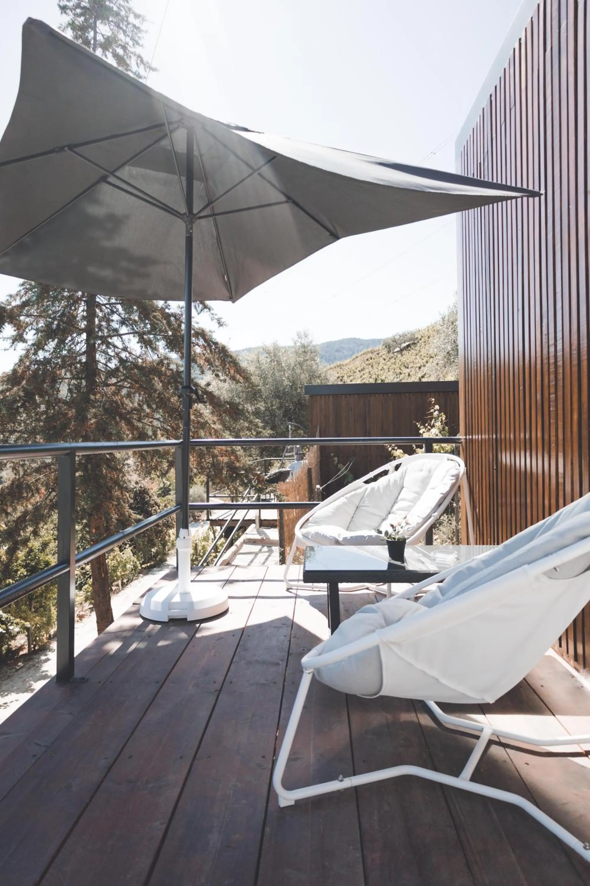 View (from property/room) in Quinta da Portela Douro