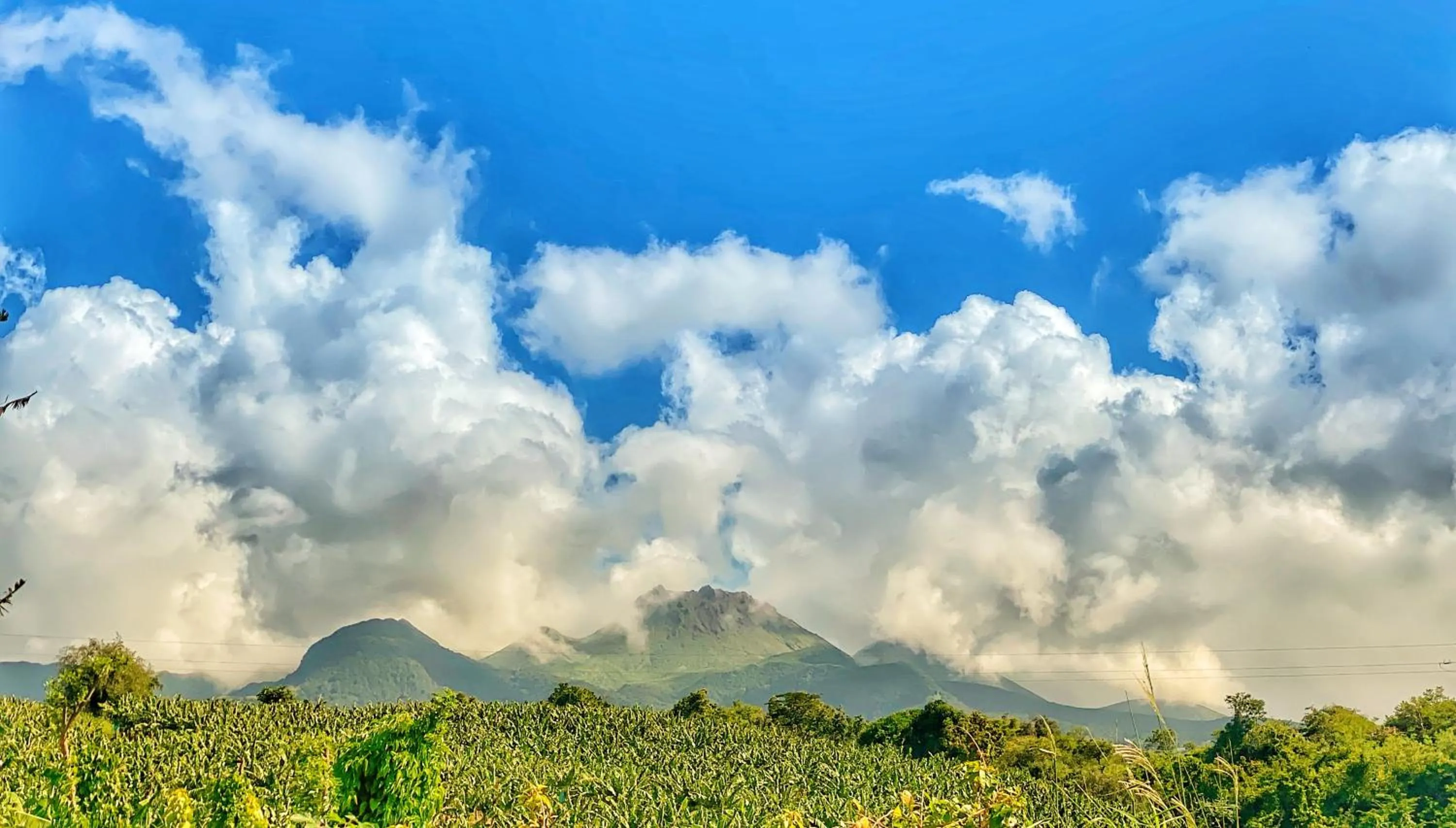 Natural landscape in Résidence Paradis Tropical