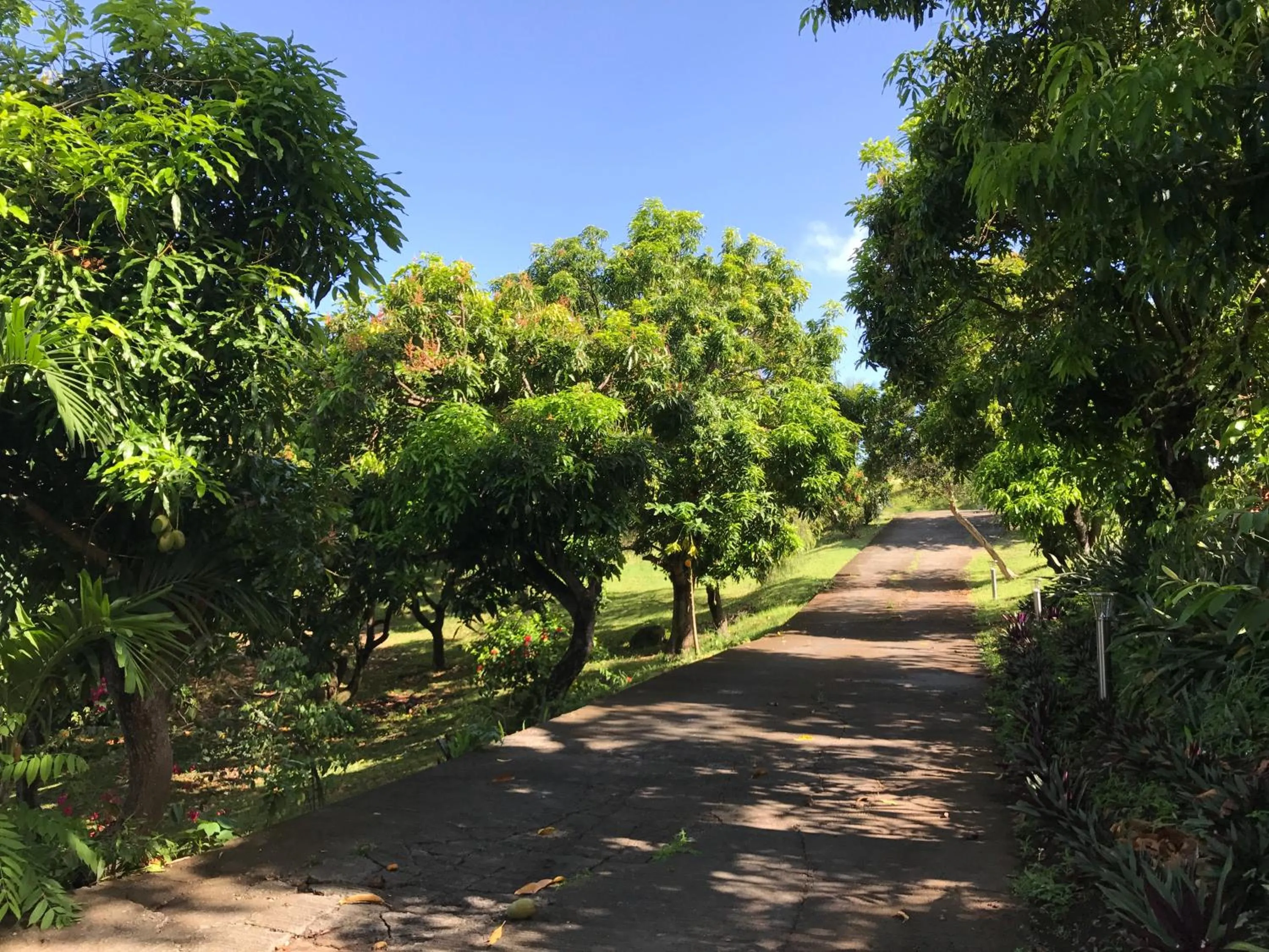 Facade/entrance in Résidence Paradis Tropical