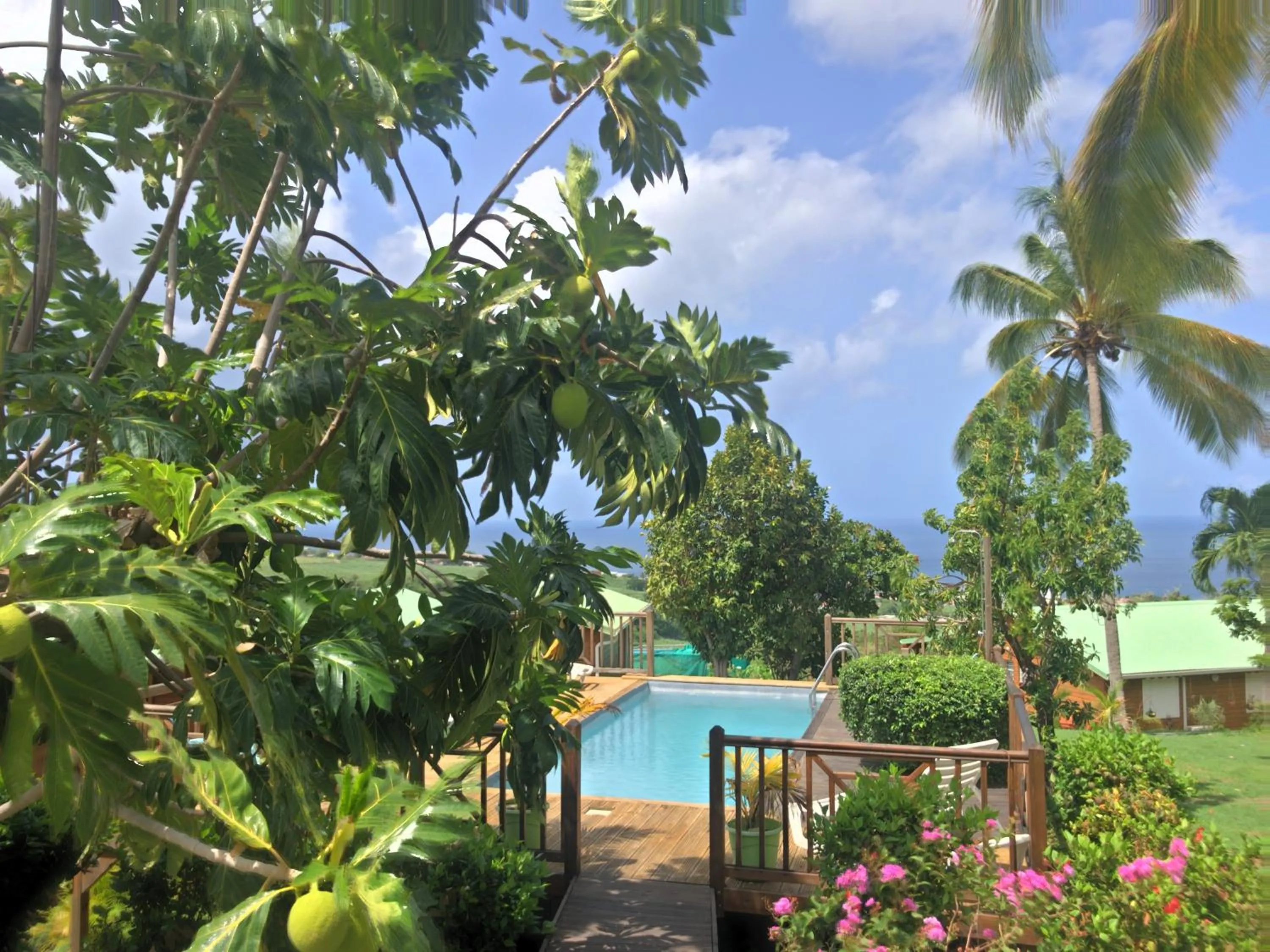 Garden view in Résidence Paradis Tropical