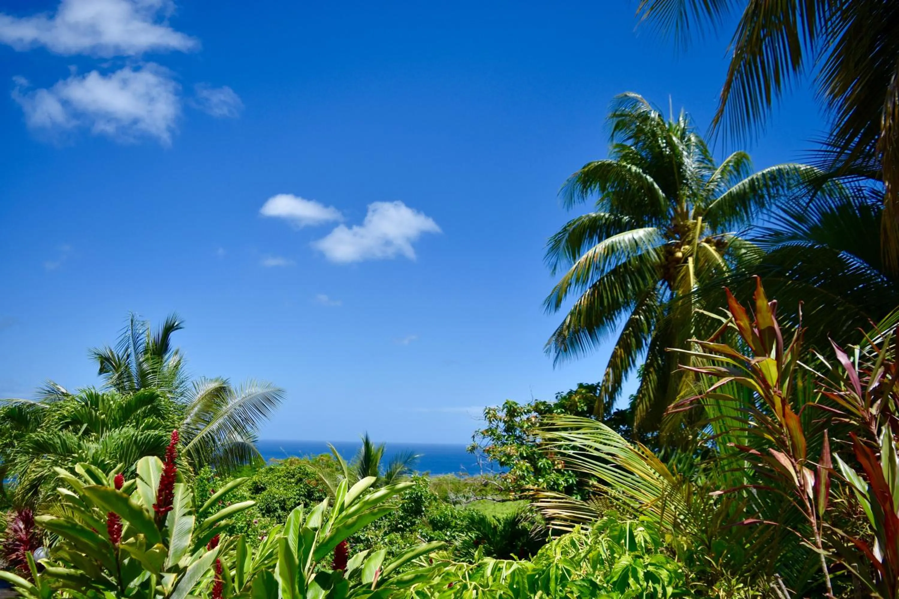 Day in Résidence Paradis Tropical