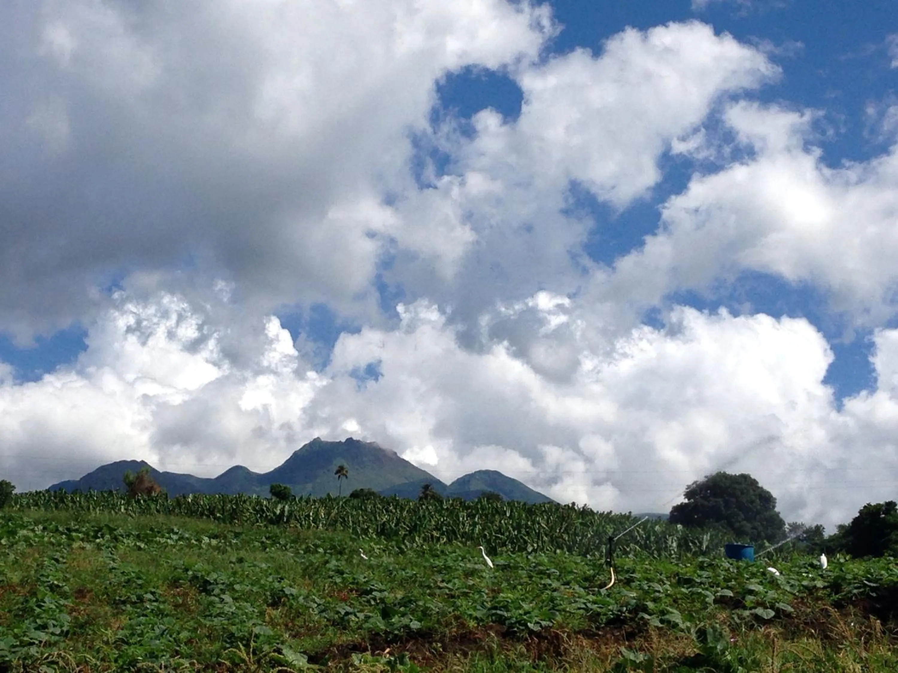 View (from property/room) in Résidence Paradis Tropical