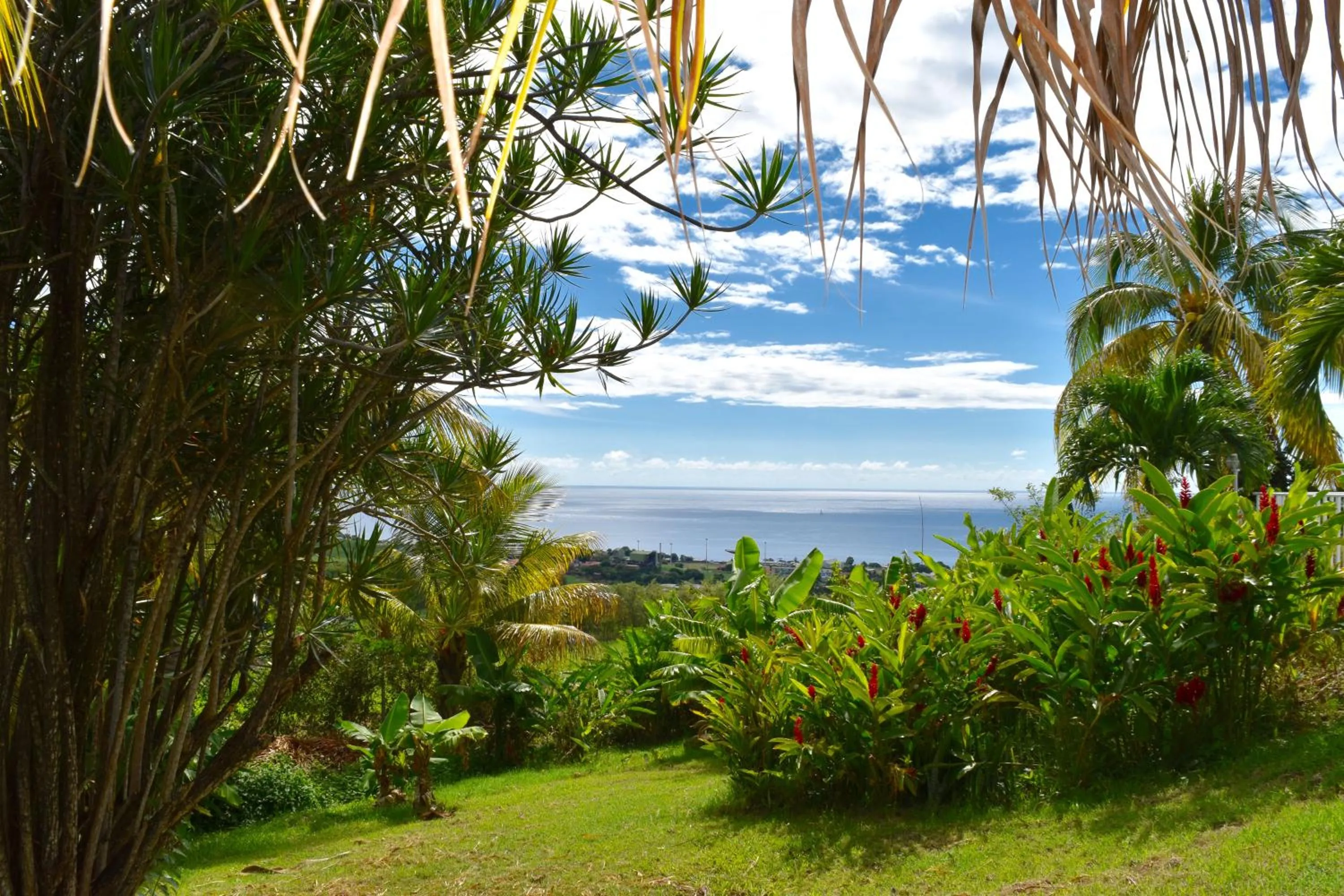Garden in Résidence Paradis Tropical