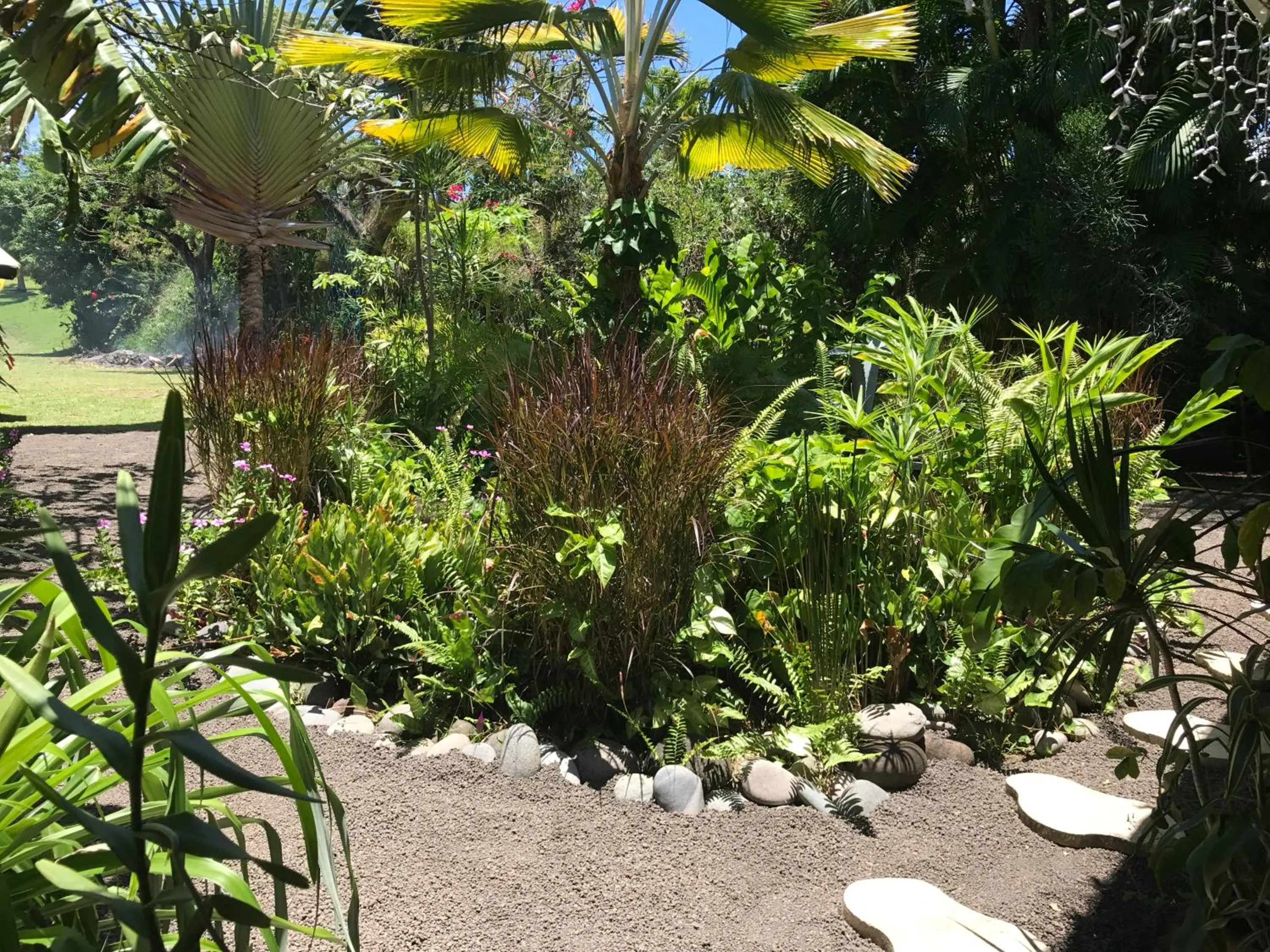 Patio in Résidence Paradis Tropical