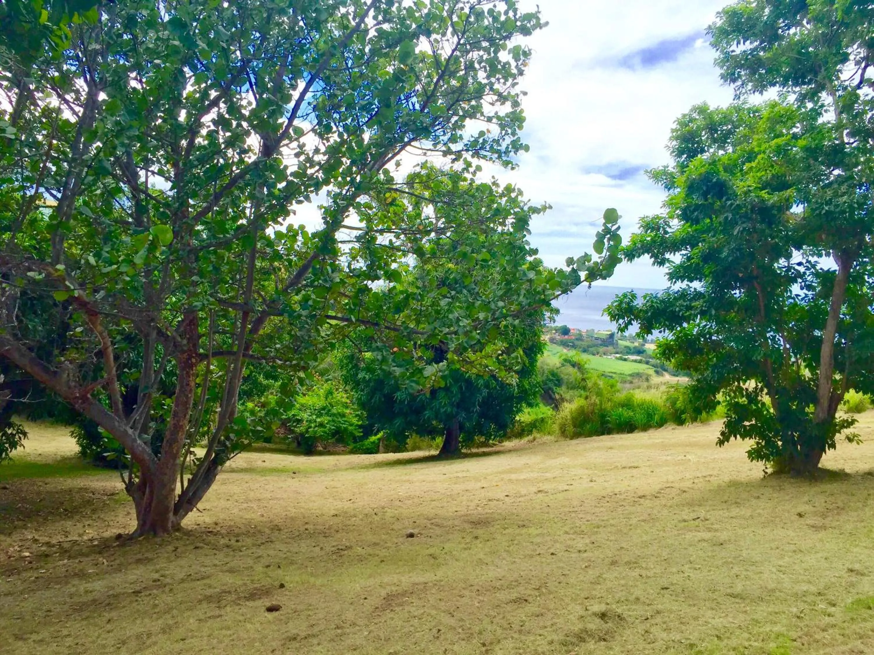 City view in Résidence Paradis Tropical