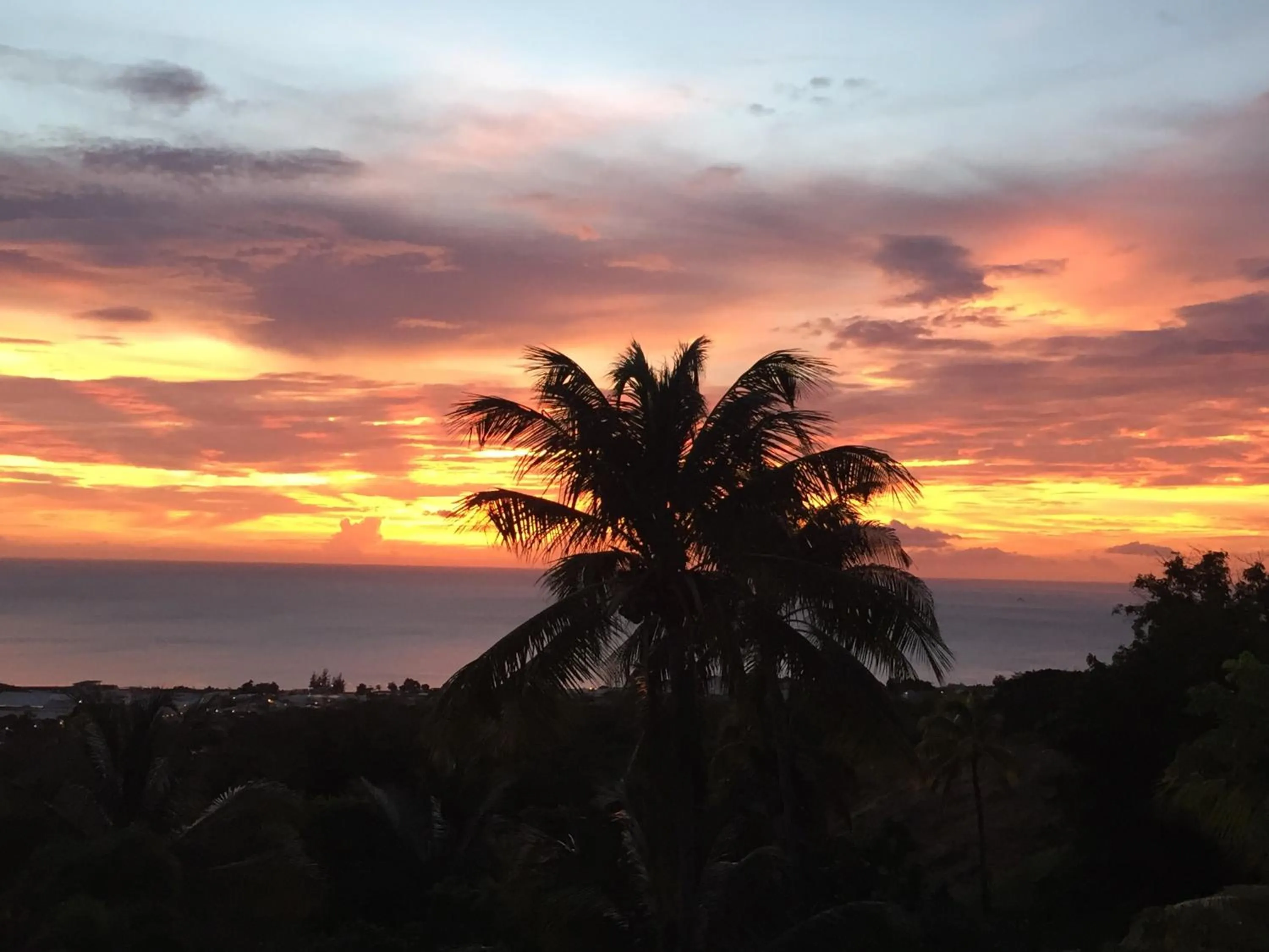 View (from property/room) in Résidence Paradis Tropical