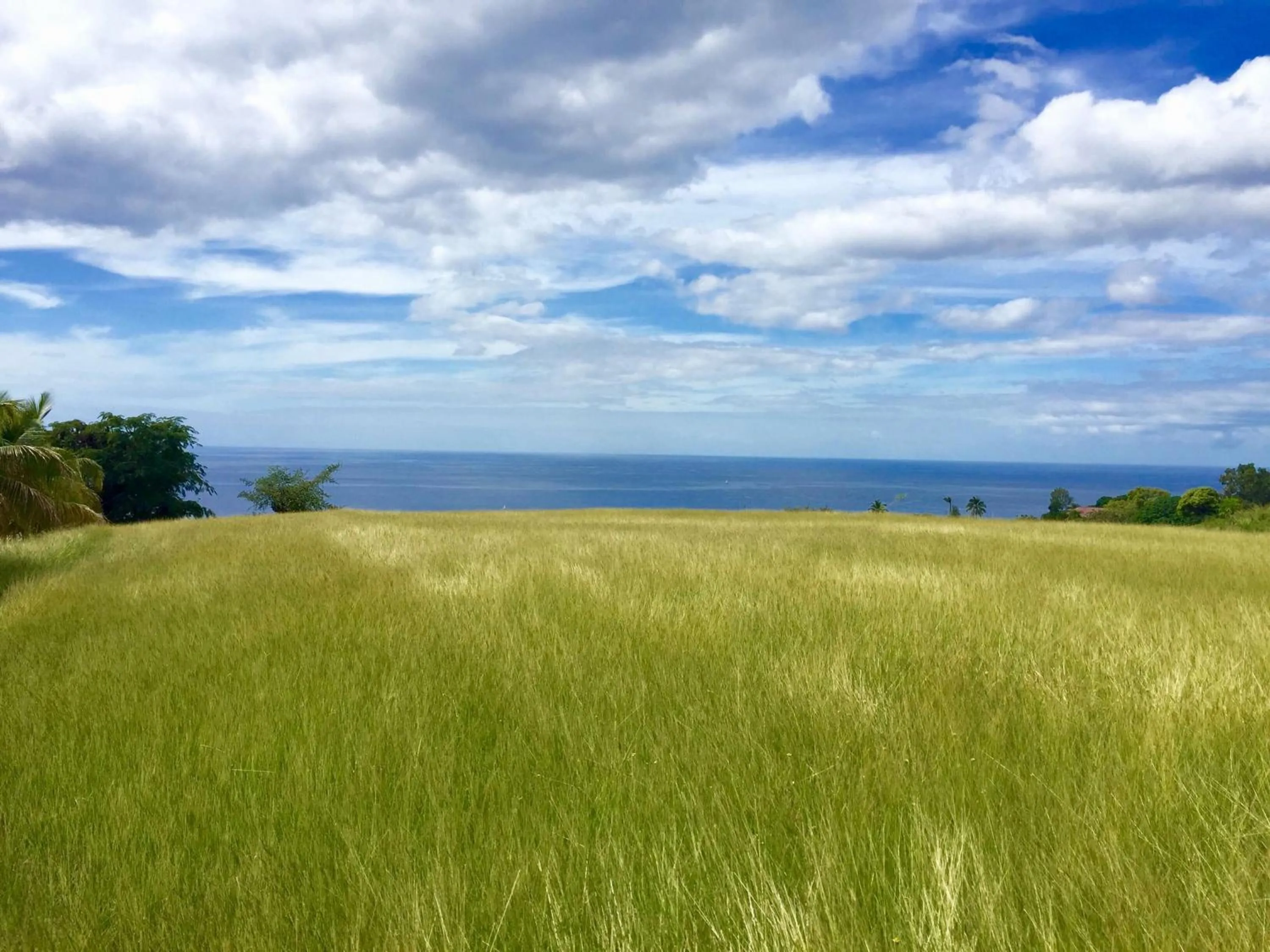Garden in Résidence Paradis Tropical