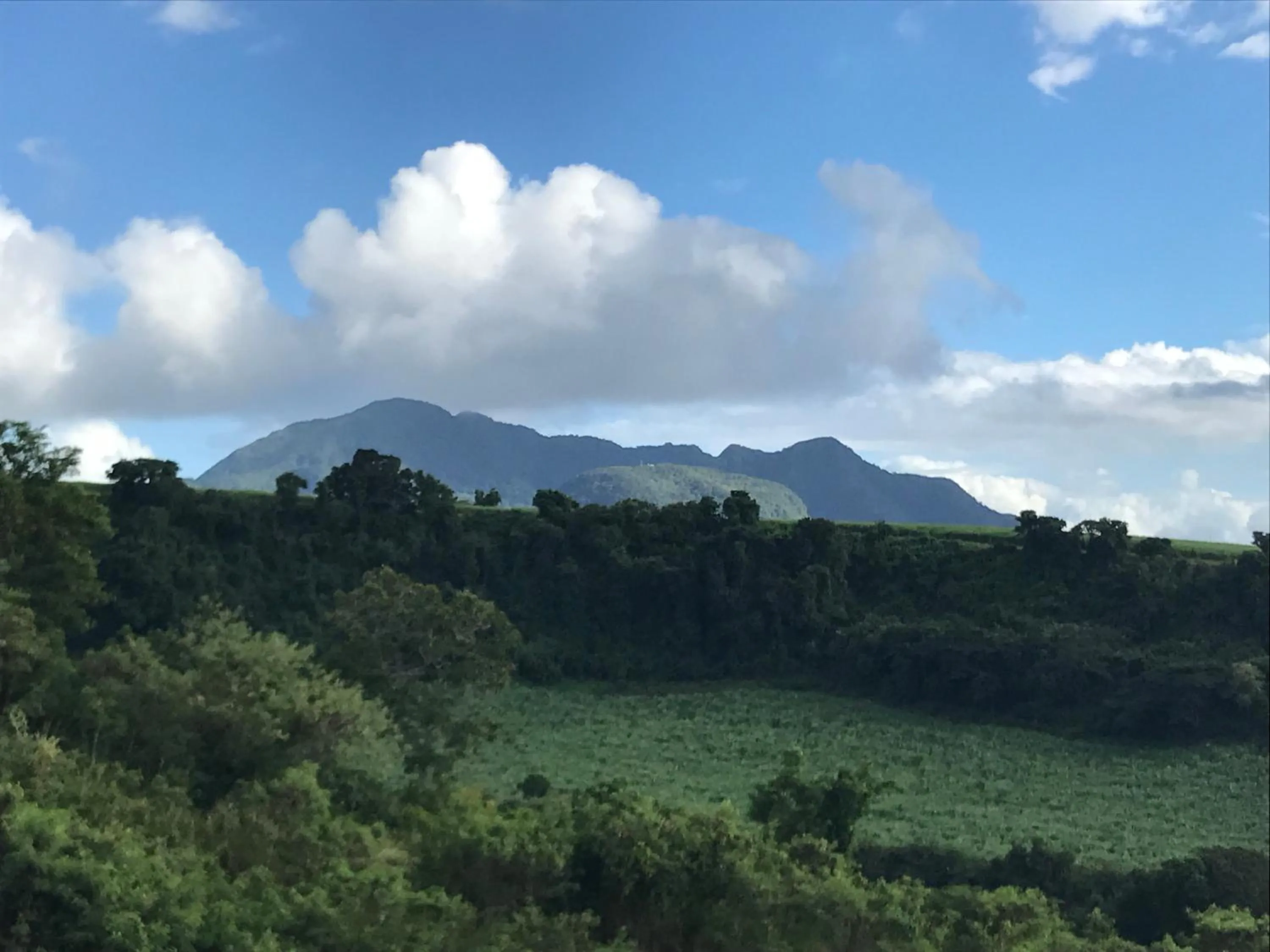 Landmark view in Résidence Paradis Tropical