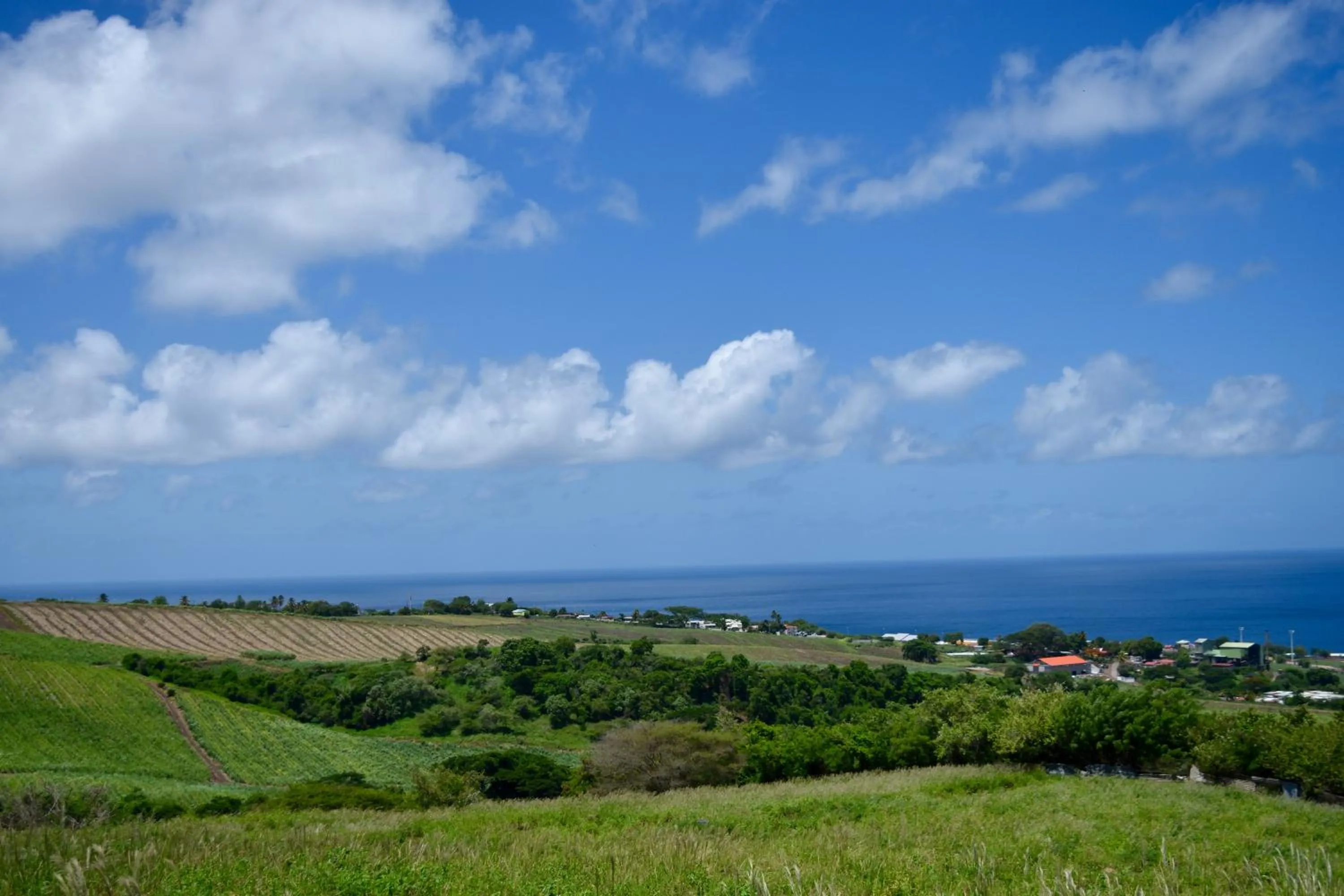 Natural landscape in Résidence Paradis Tropical
