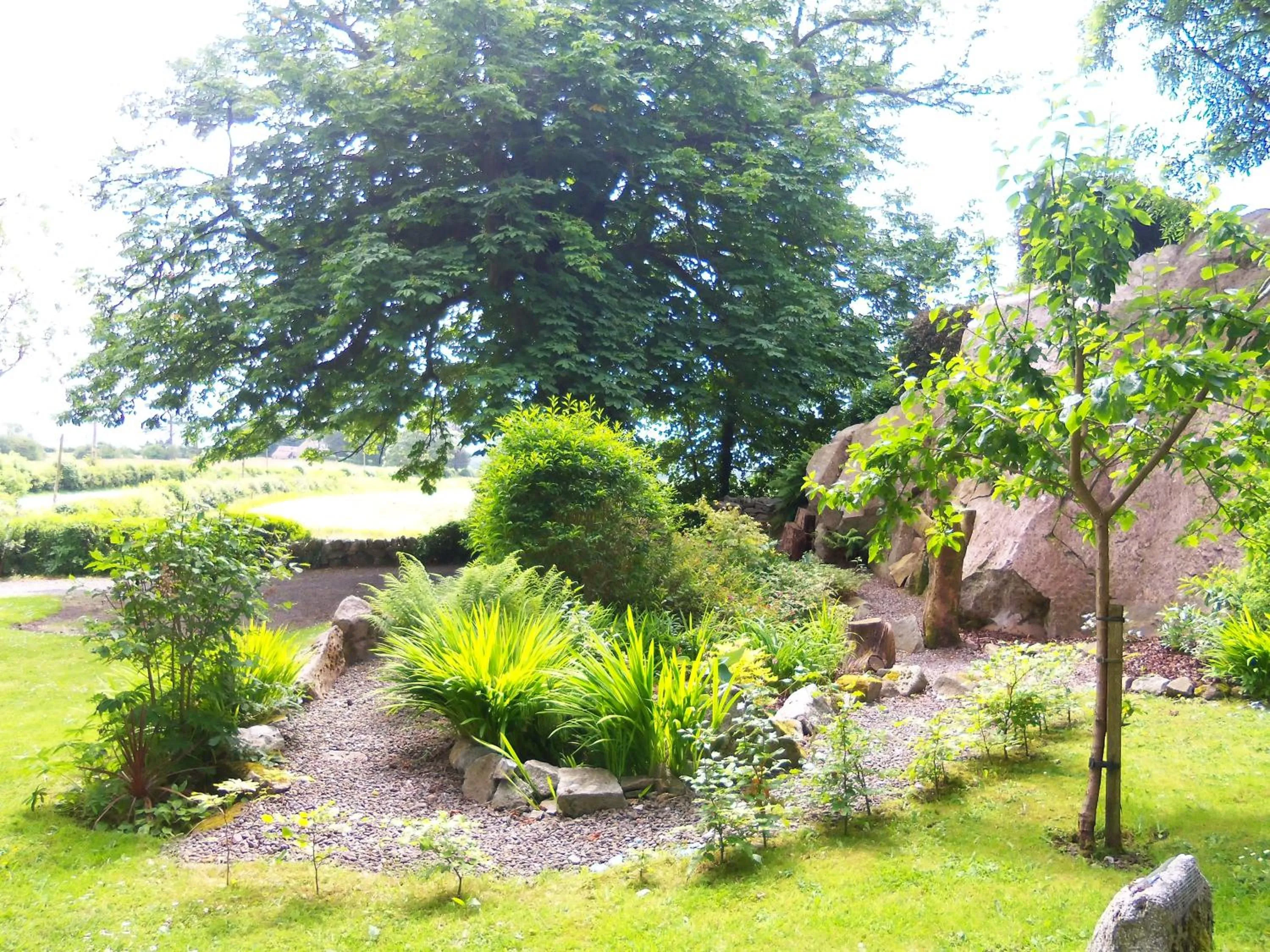 Garden view in Craignair Cottage