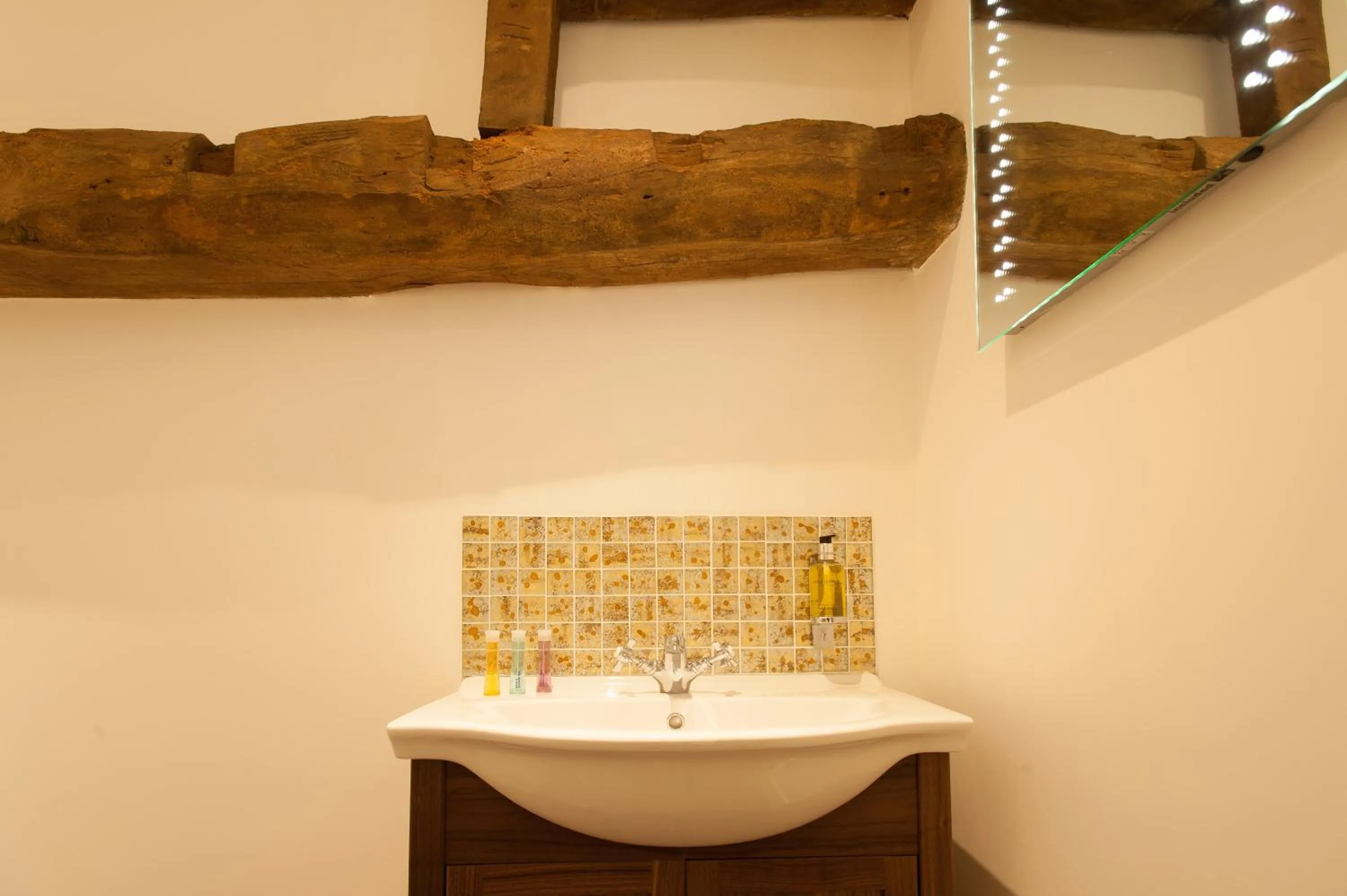 Toilet in The Wychwood Inn