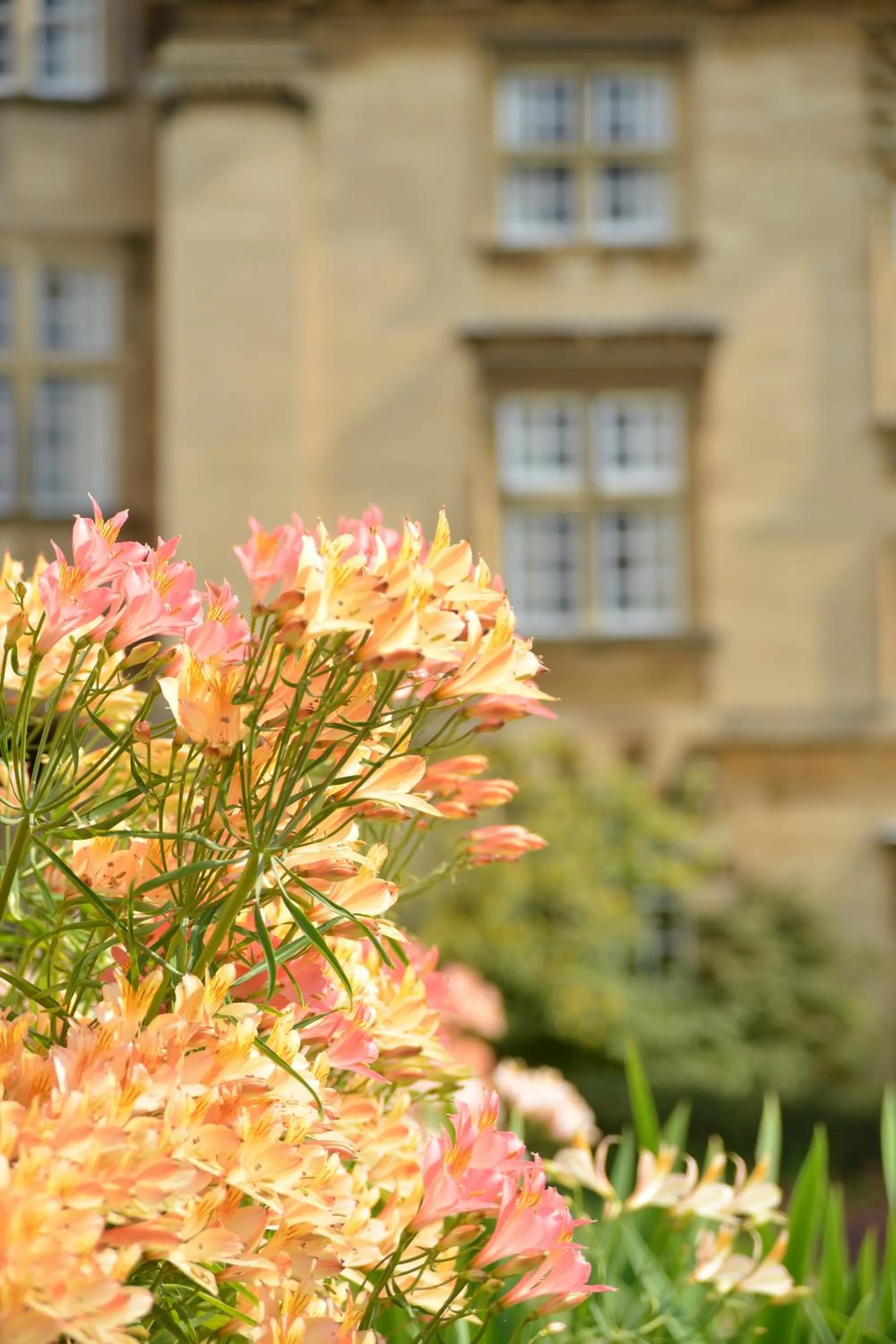 Garden in Christ's College Cambridge