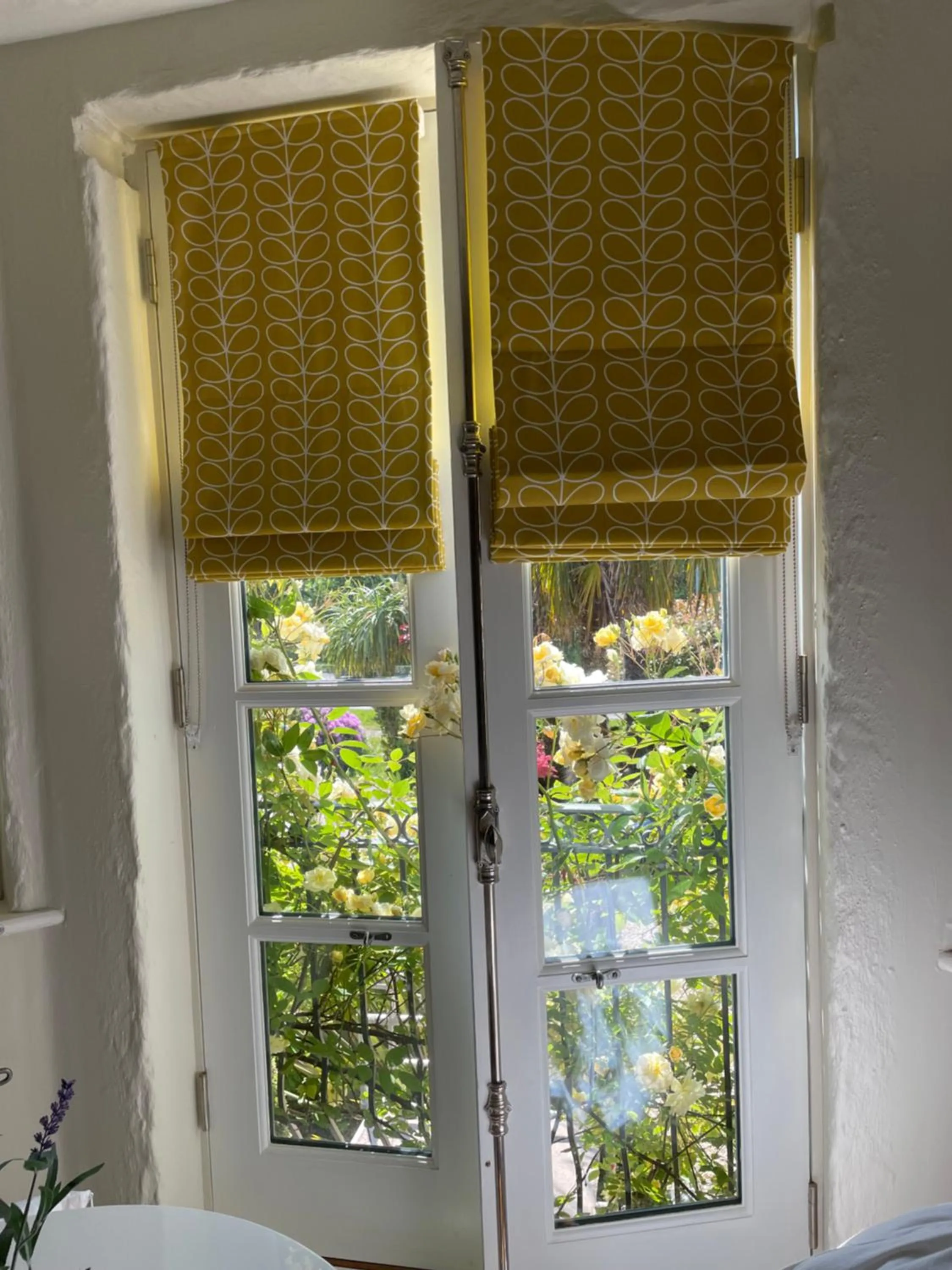 Garden view in Bradleigh Lodge