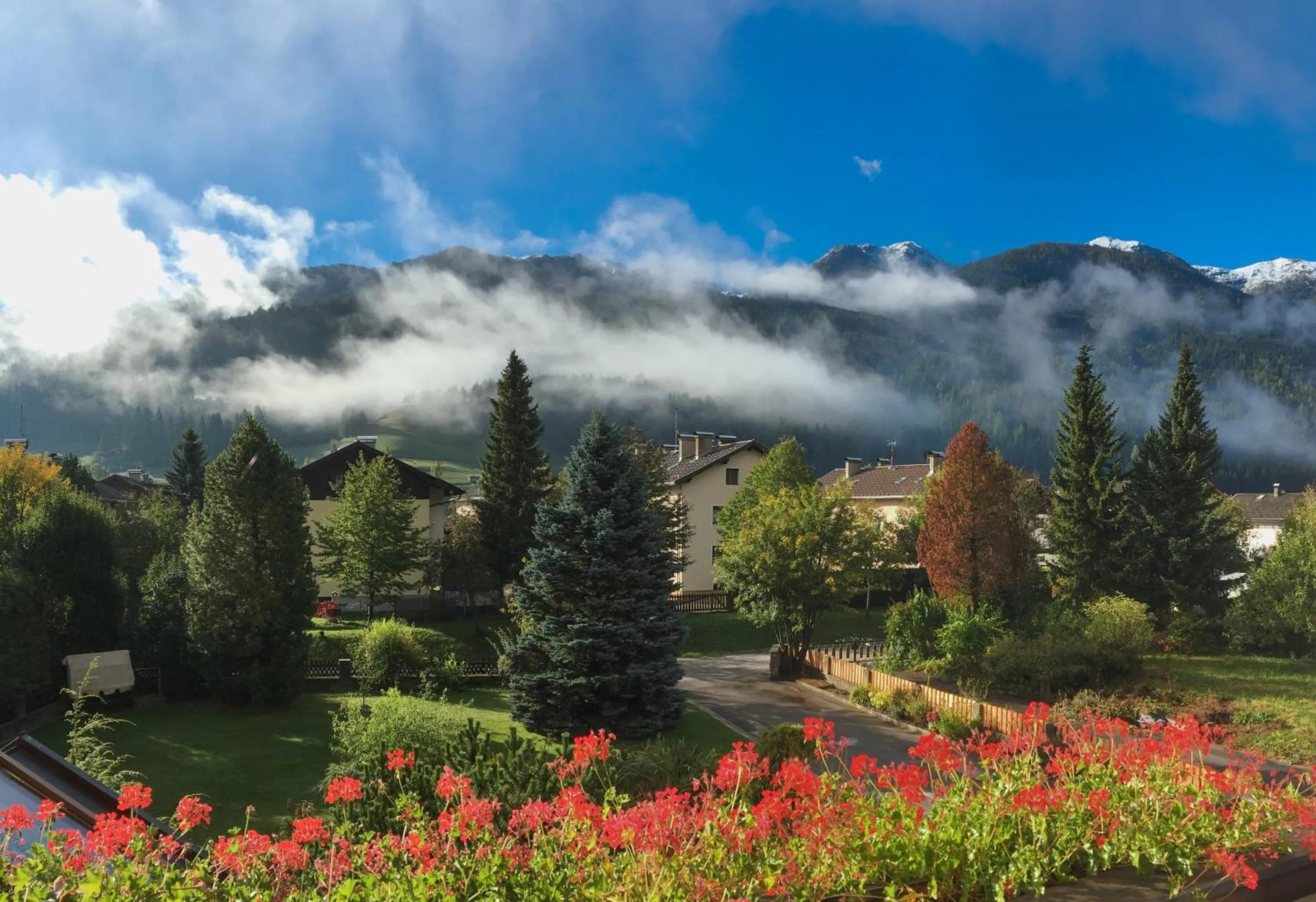 Garden view in Appartements Pichler