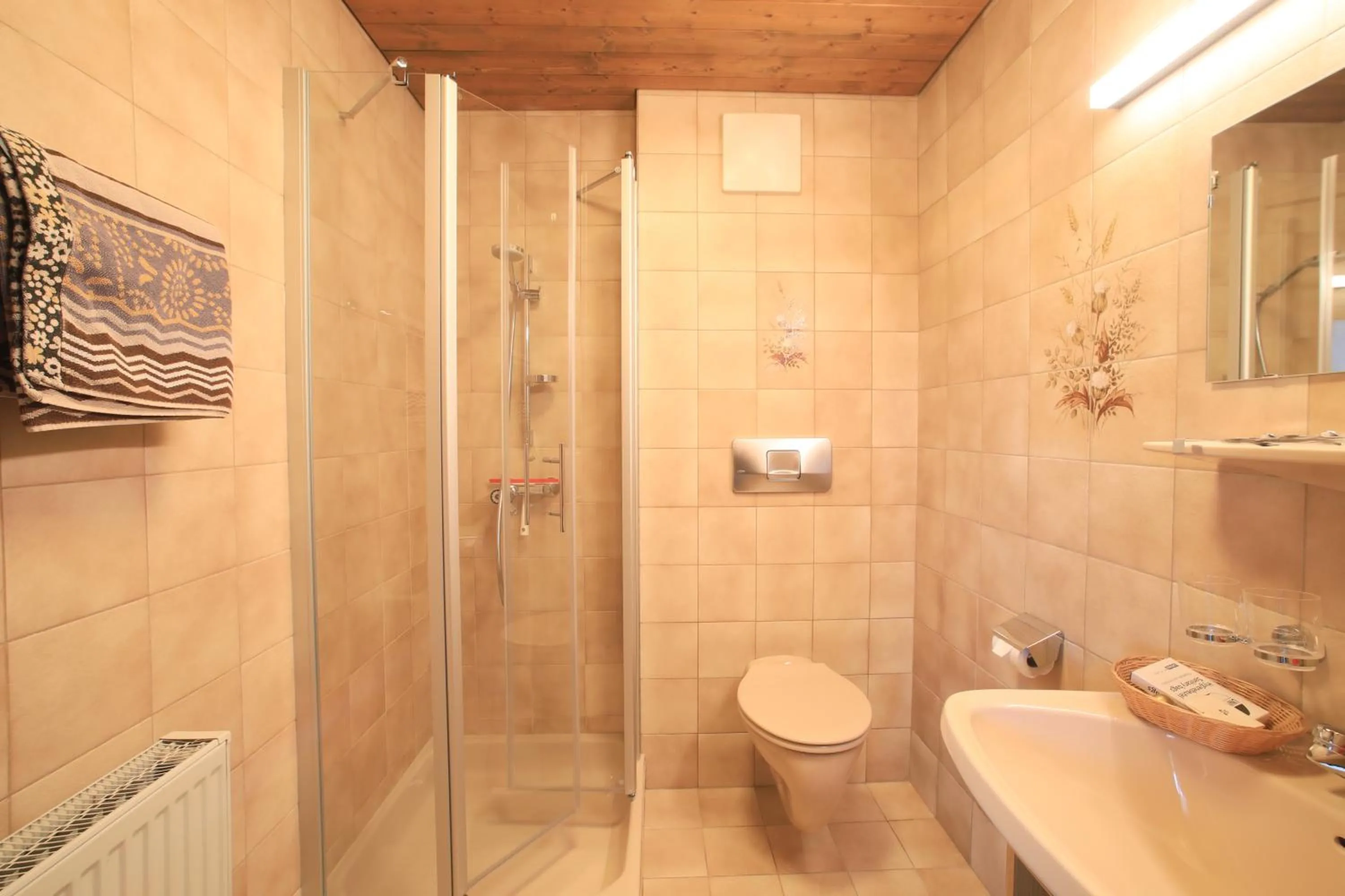 Shower in Frühstückspension Jagdhof