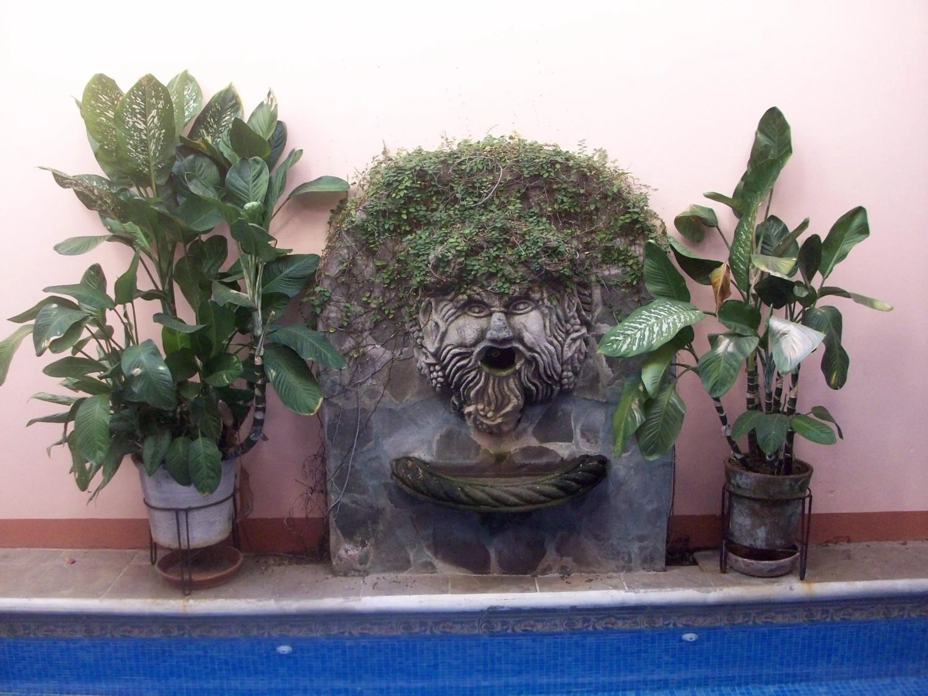 Decorative detail in Hotel Casa San Francisco