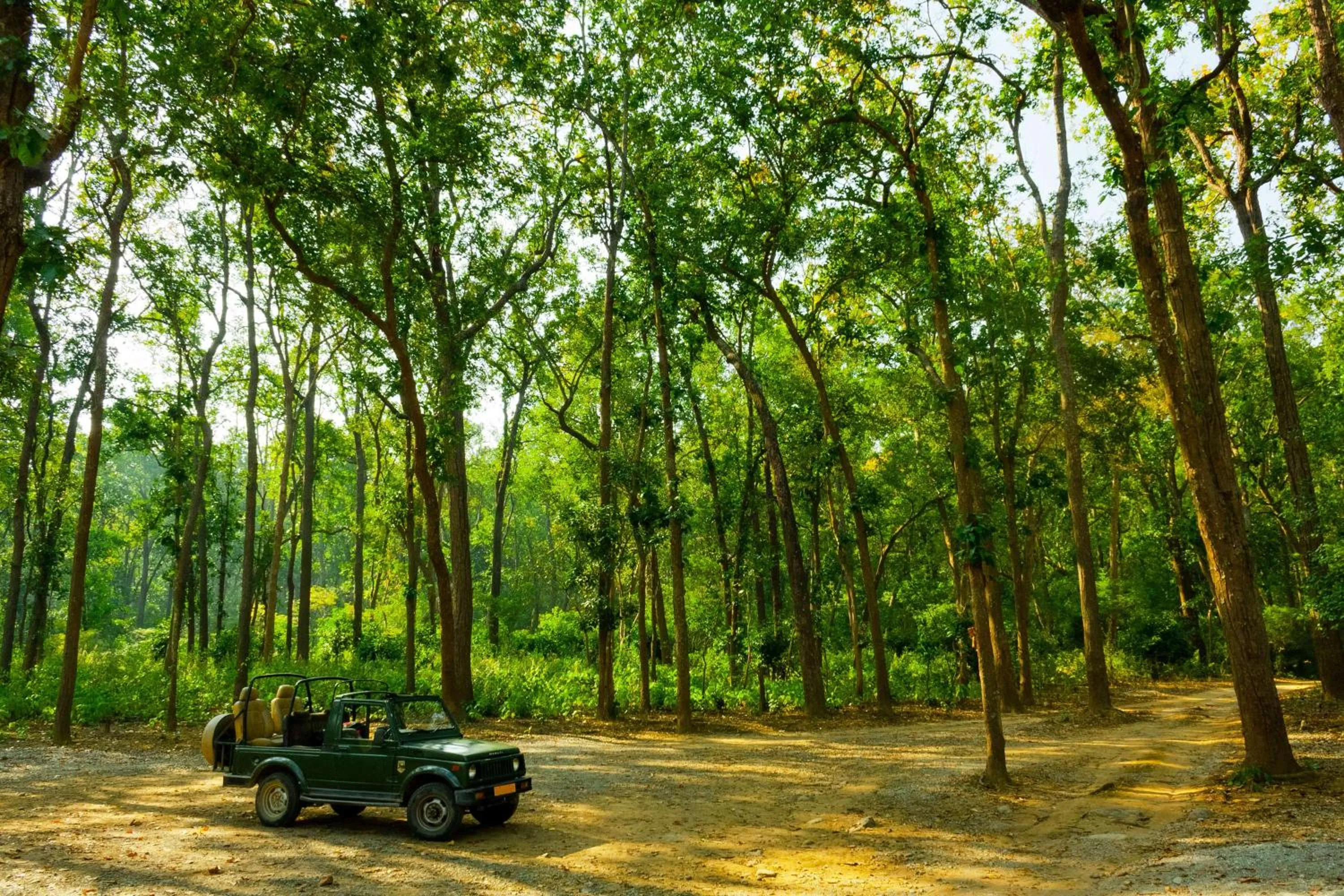 Nearby landmark in Radisson Blu Hotel Rudrapur
