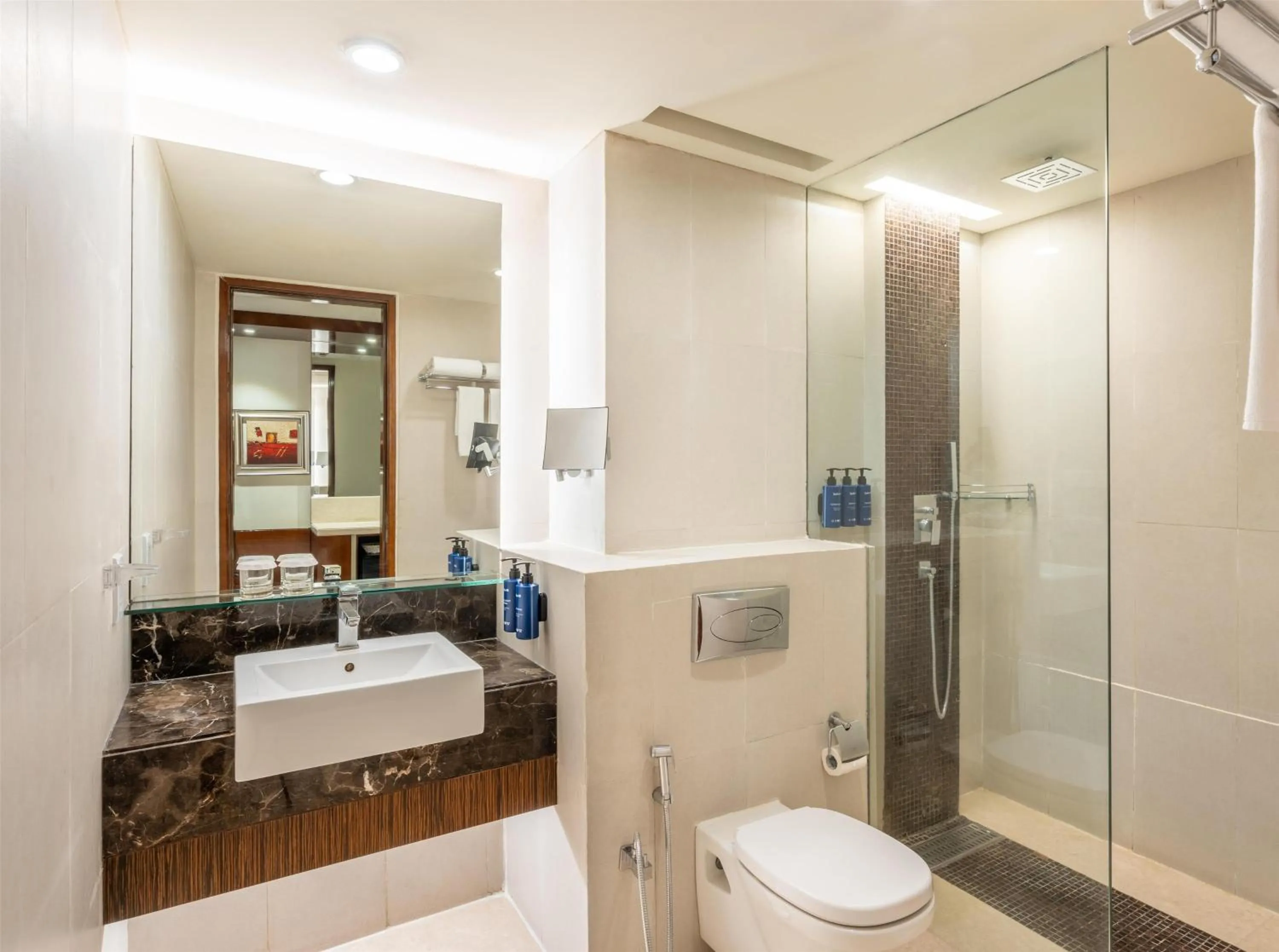 Bathroom in Radisson Blu Hotel Rudrapur