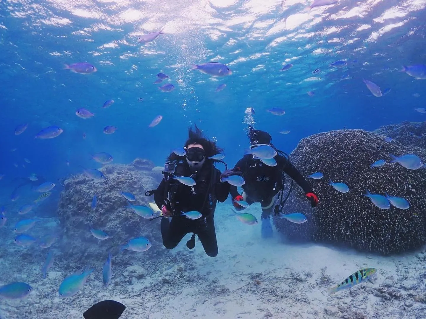 Neighbourhood in Ecot Shimozato 3