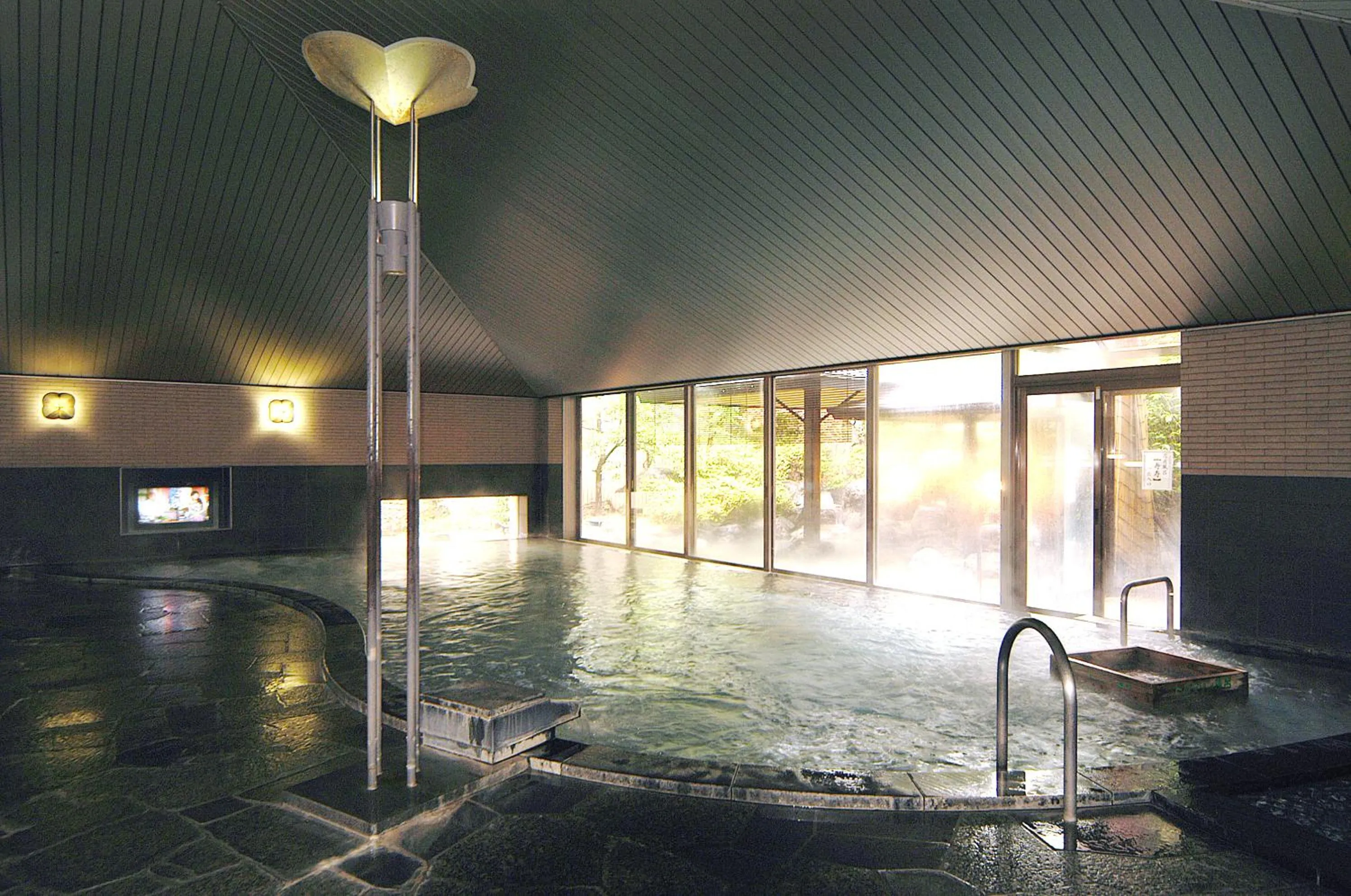 Hot Spring Bath in Hotel Fuji
