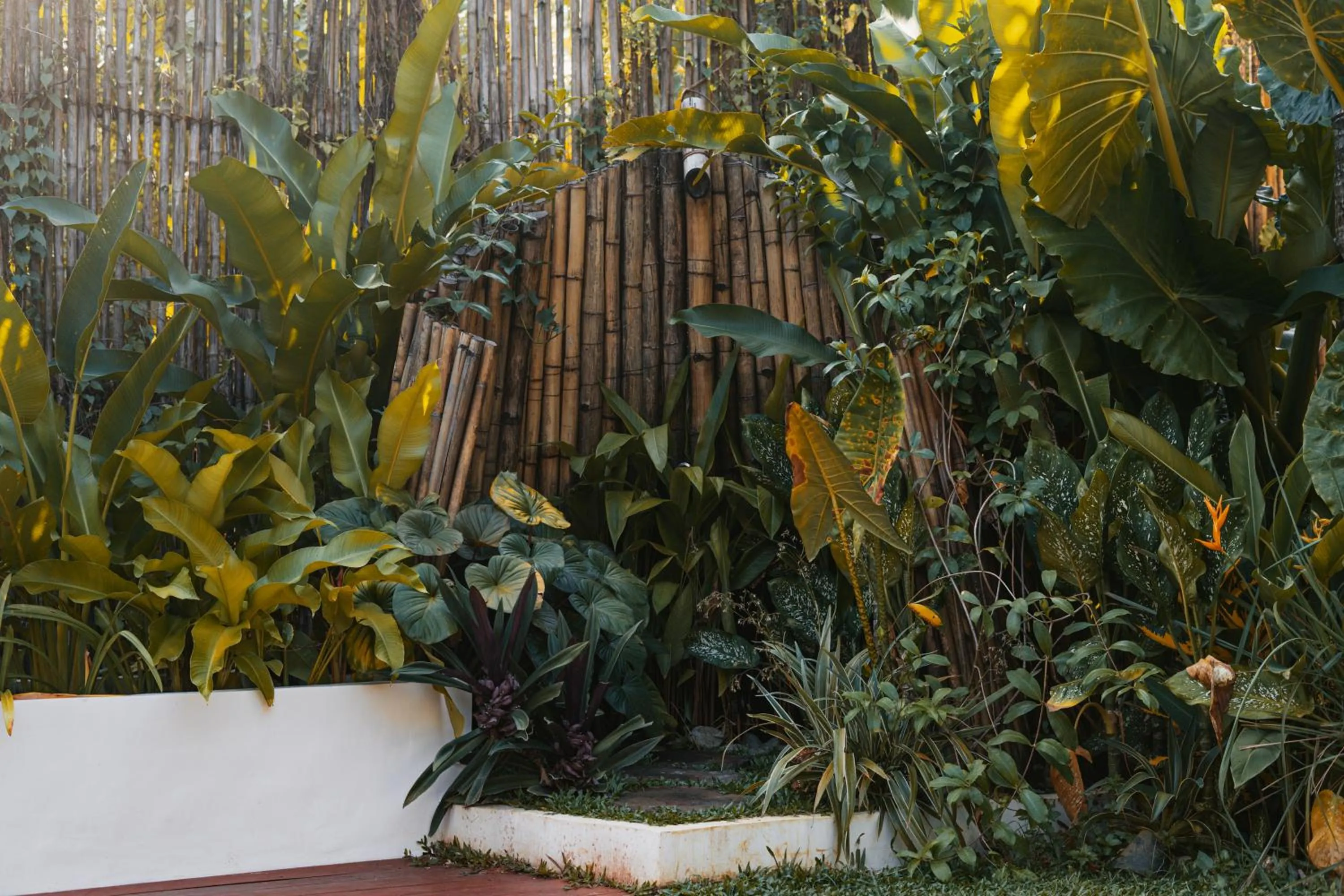 Natural landscape in Villa Cali Siargao