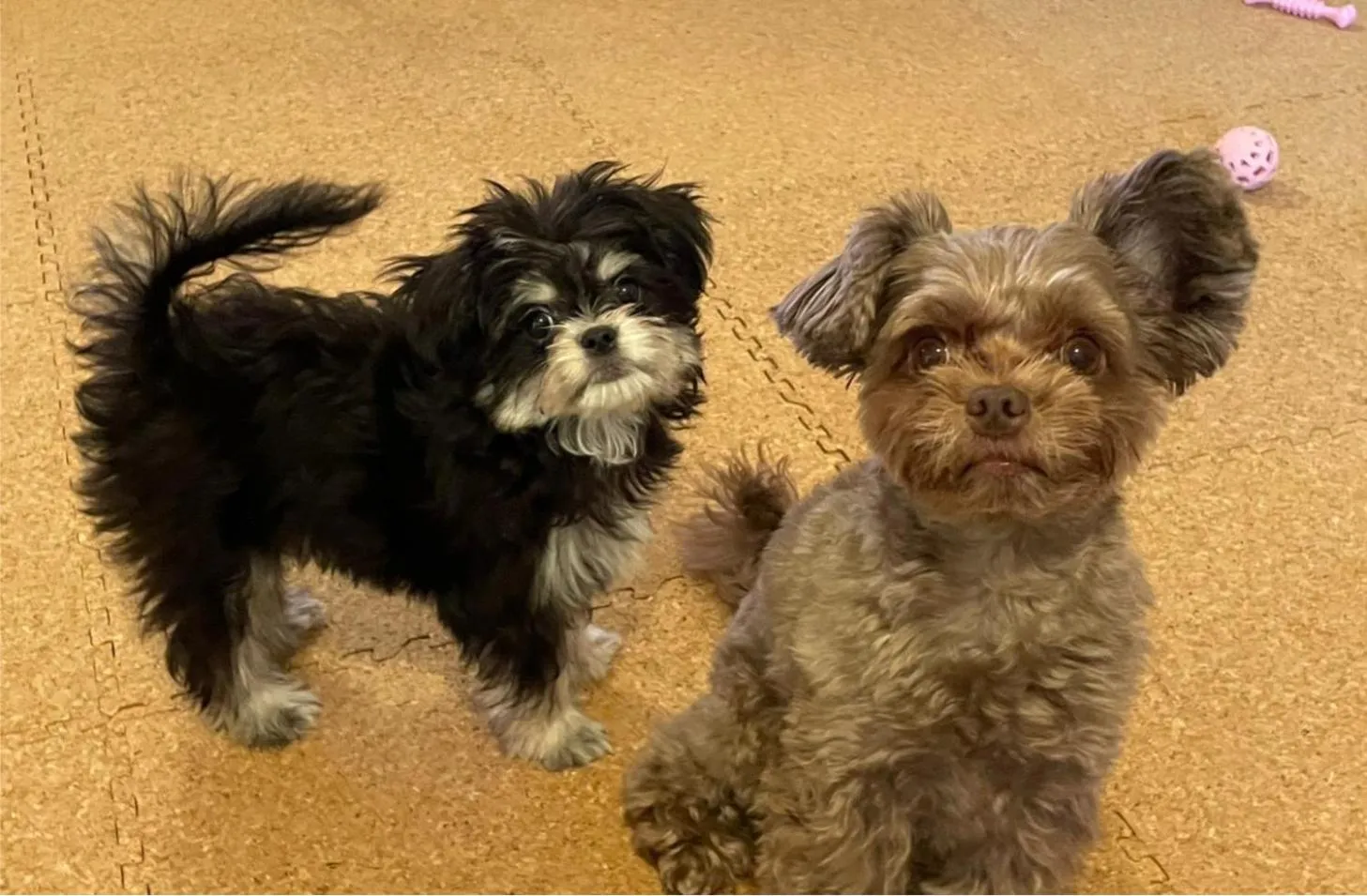 THE LANG HOTEL Hakata