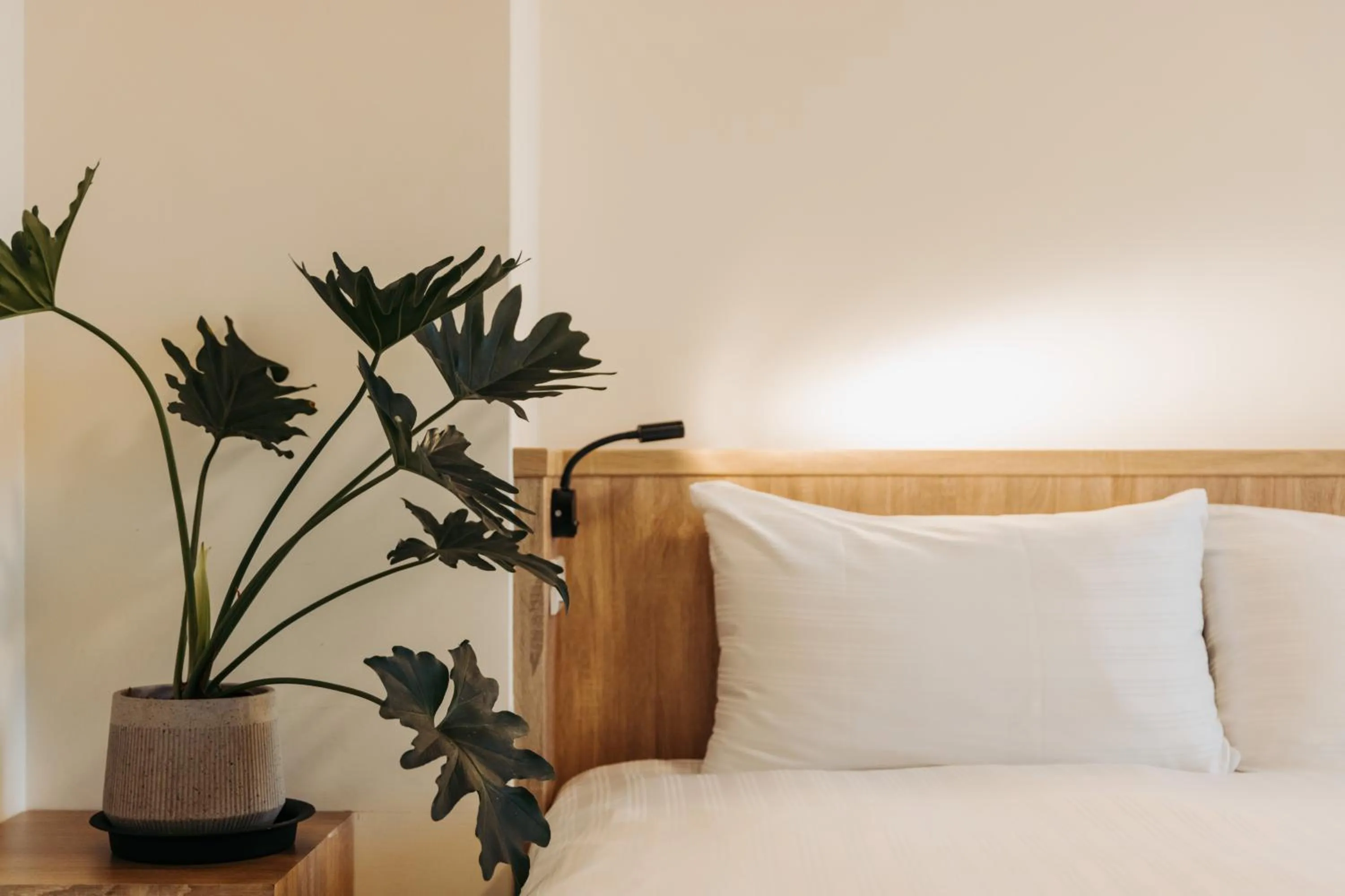 Bed in Meet Secret B&B