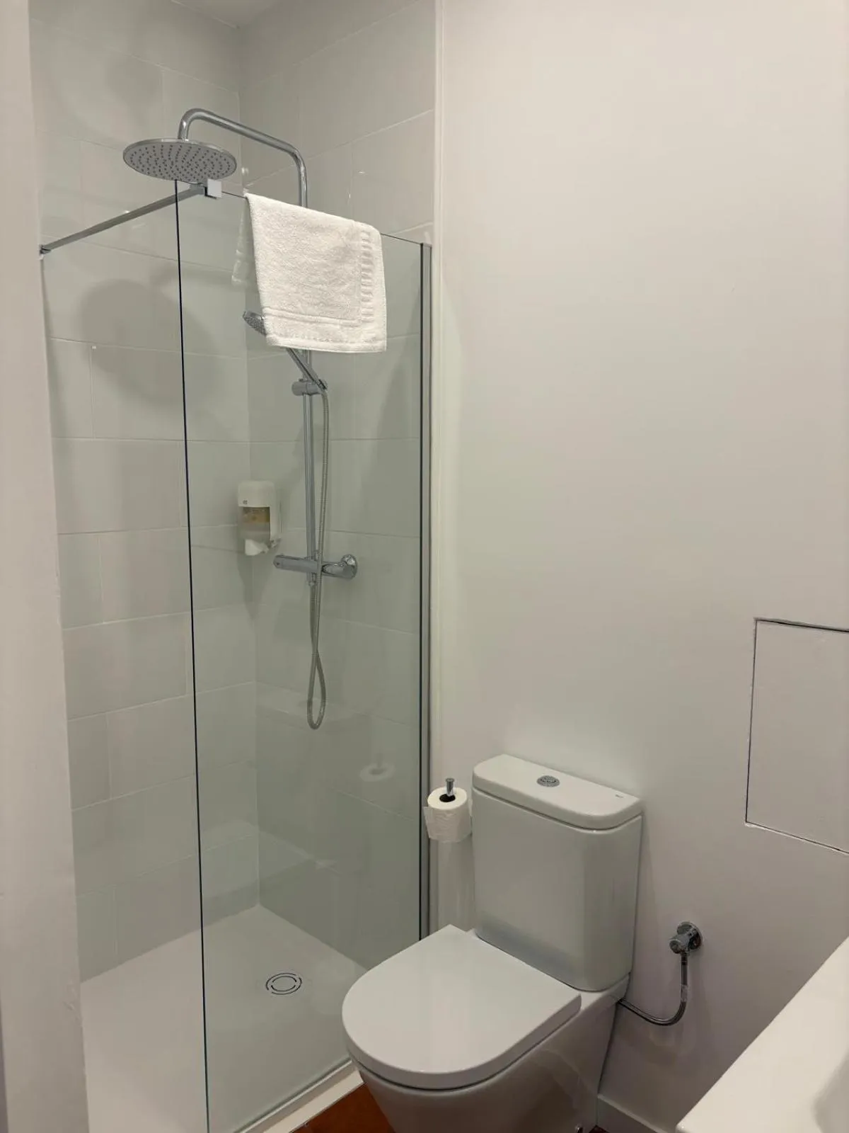 Shower in Hotel Torino