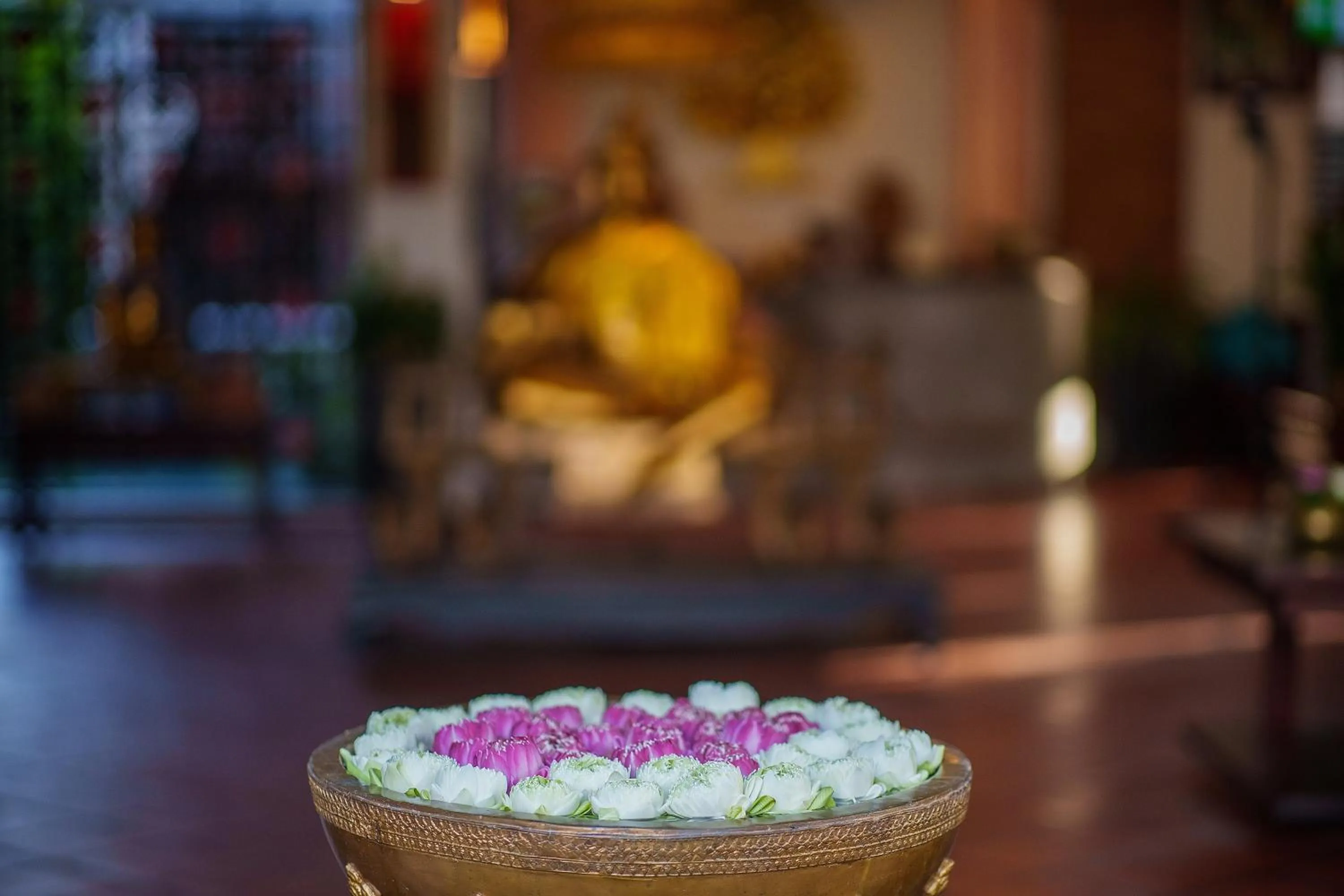 Lobby or reception in SAKABAN Suite