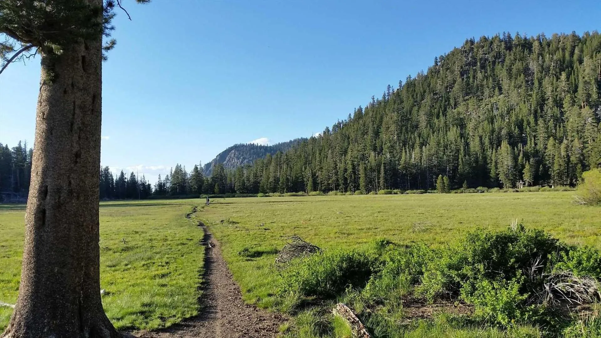 Lakeland Village #105